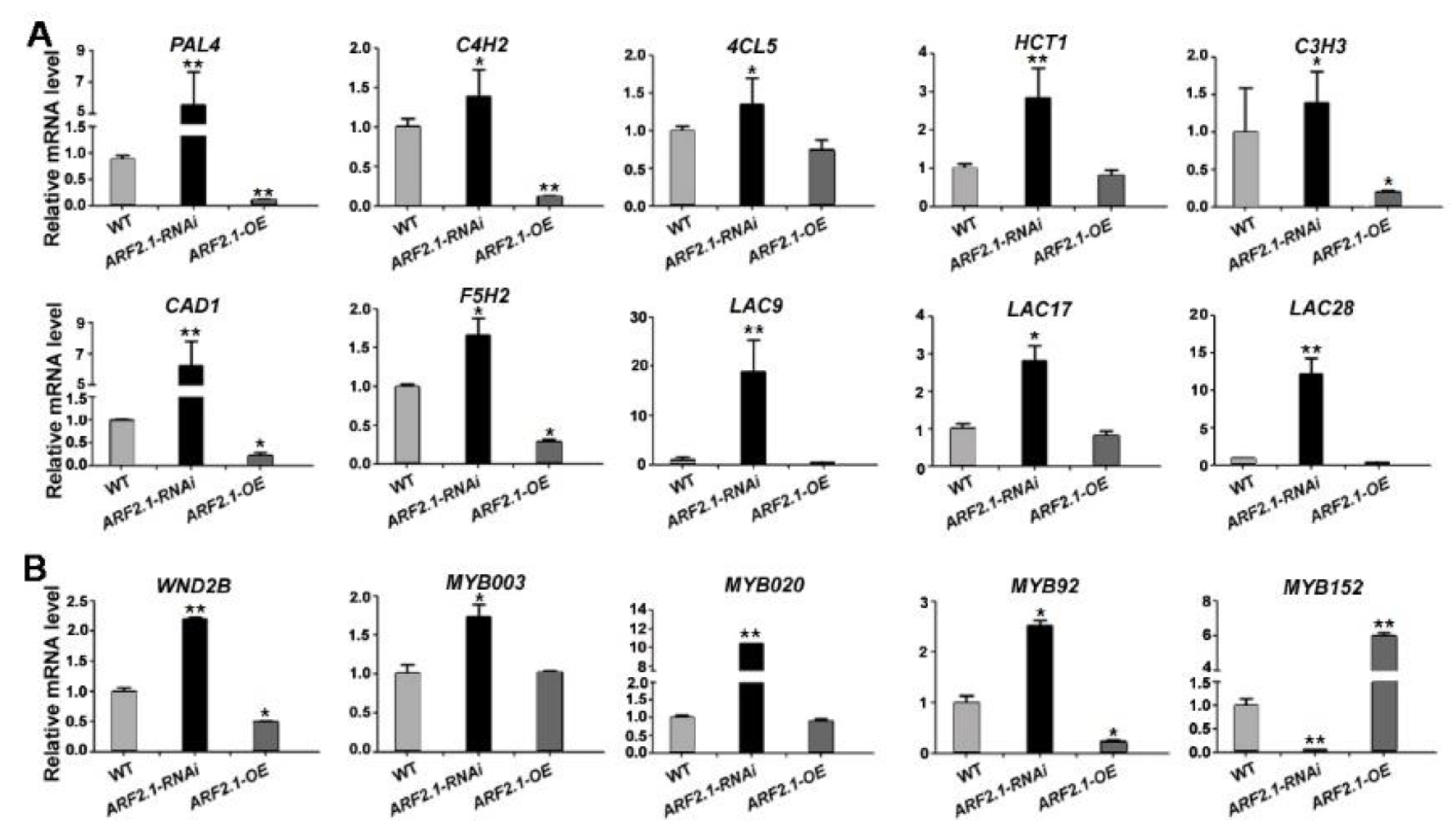 Ijms 20 04141 g007 Ijms 20 04141 g007