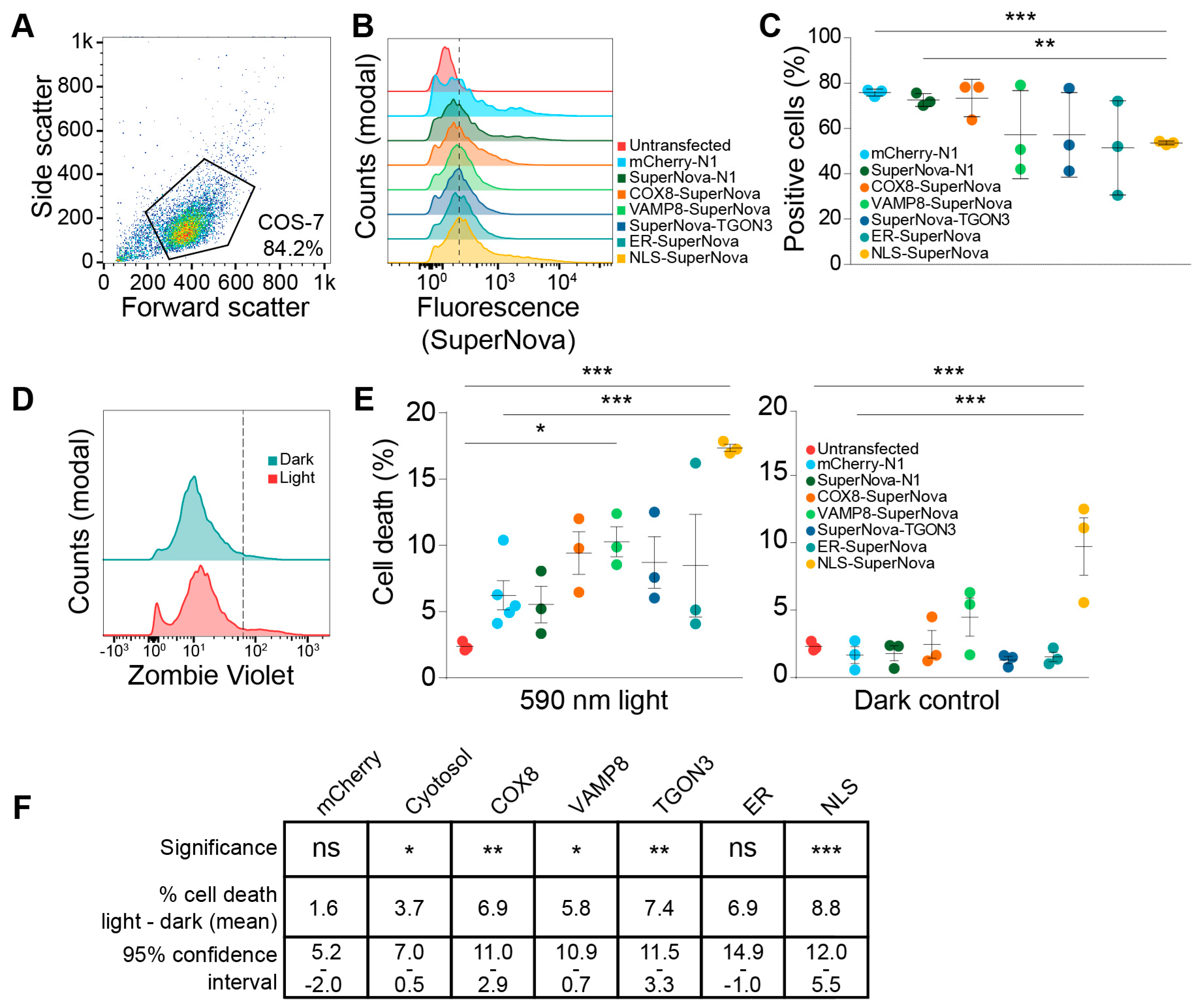 Ijms 20 04147 g003 Ijms 20 04147 g003