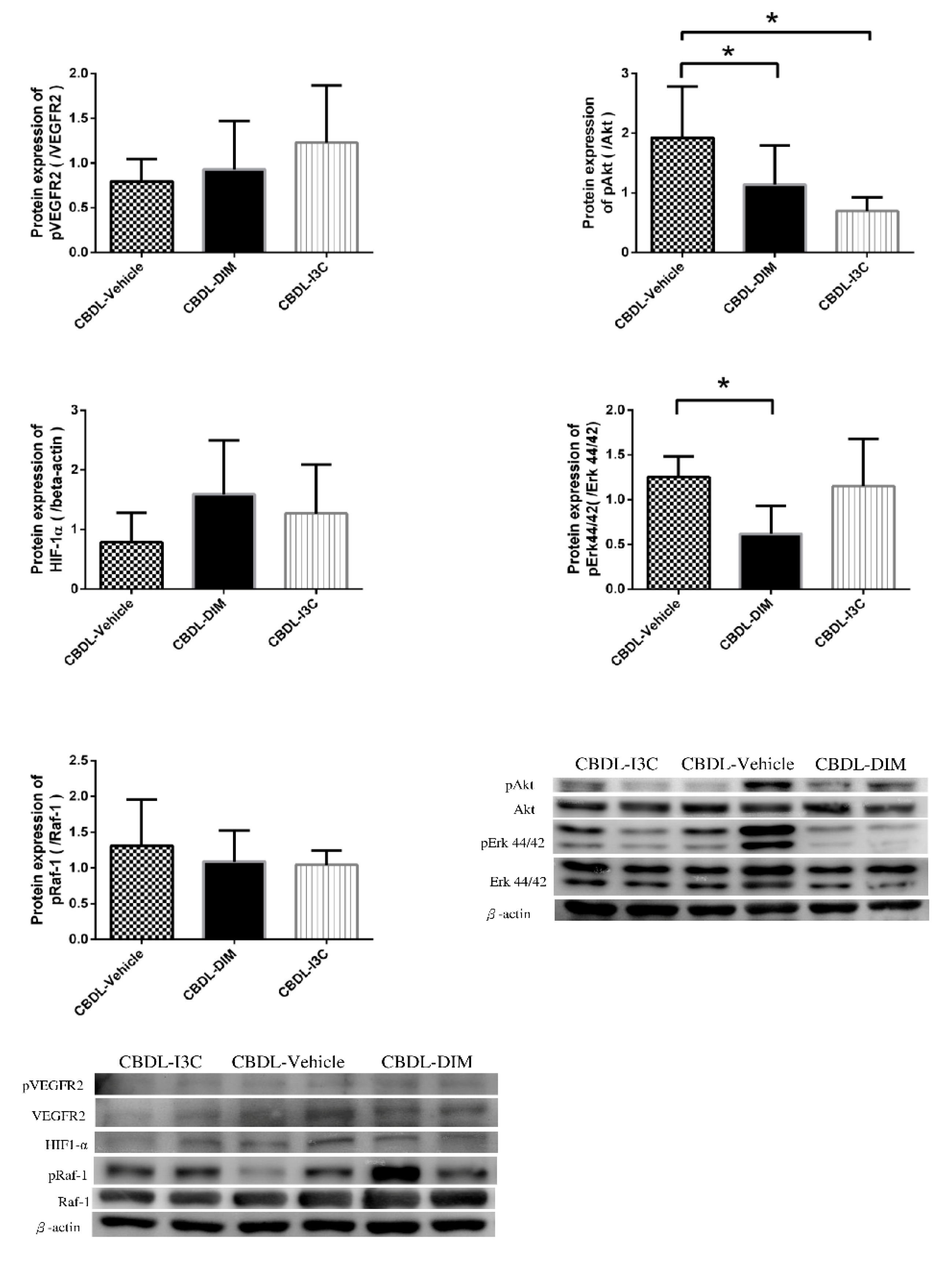 Ijms 20 04161 g004