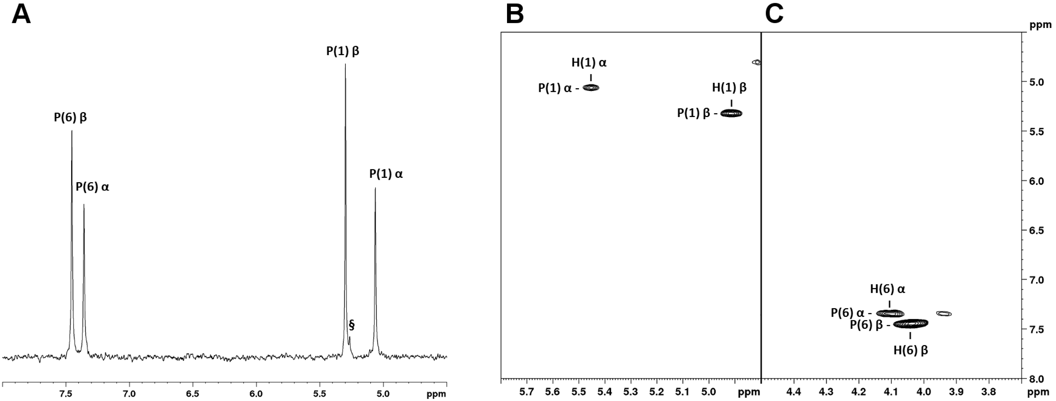 Ijms 20 04164 g001 Ijms 20 04164 g001