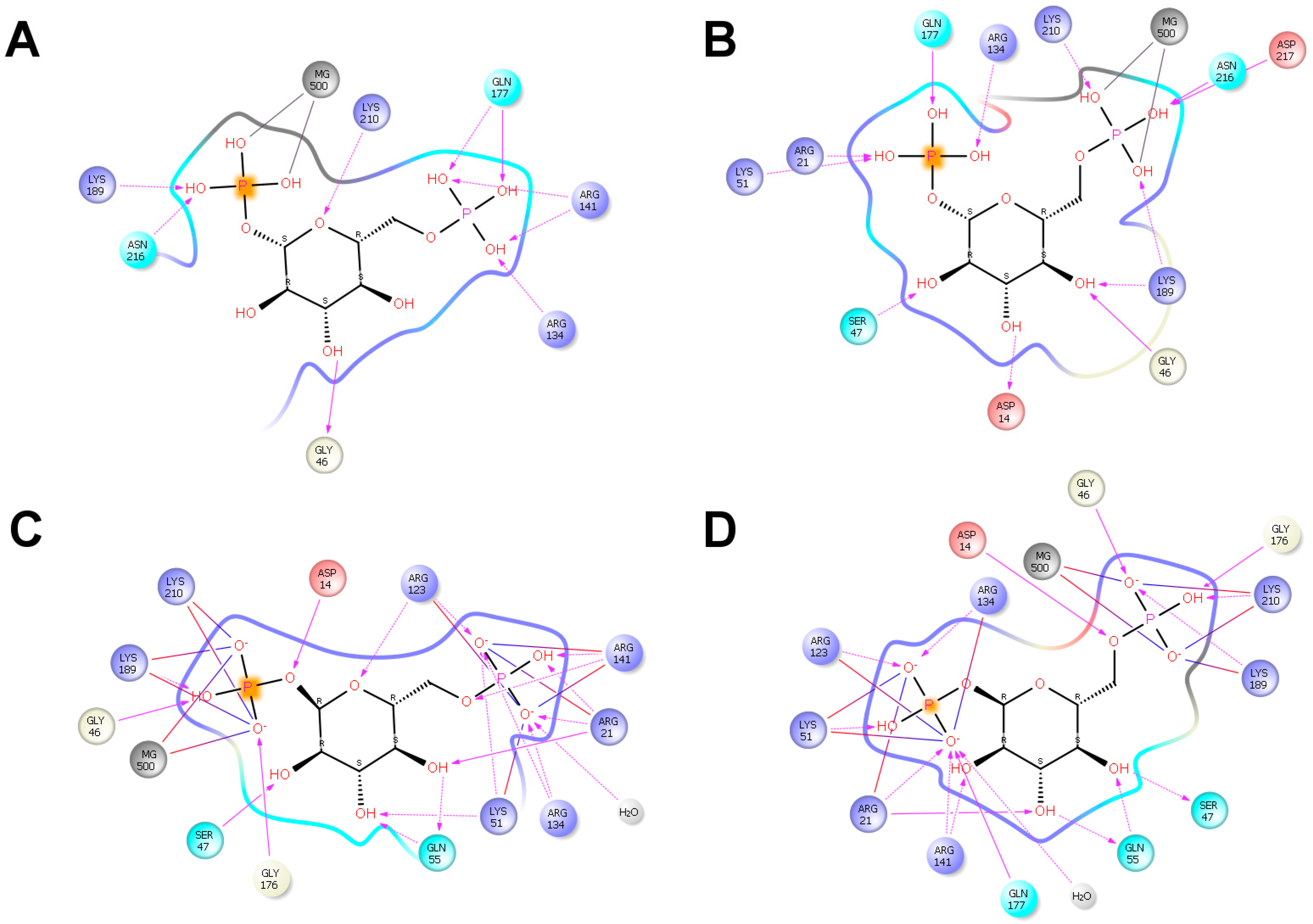 Ijms 20 04164 g003 Ijms 20 04164 g003