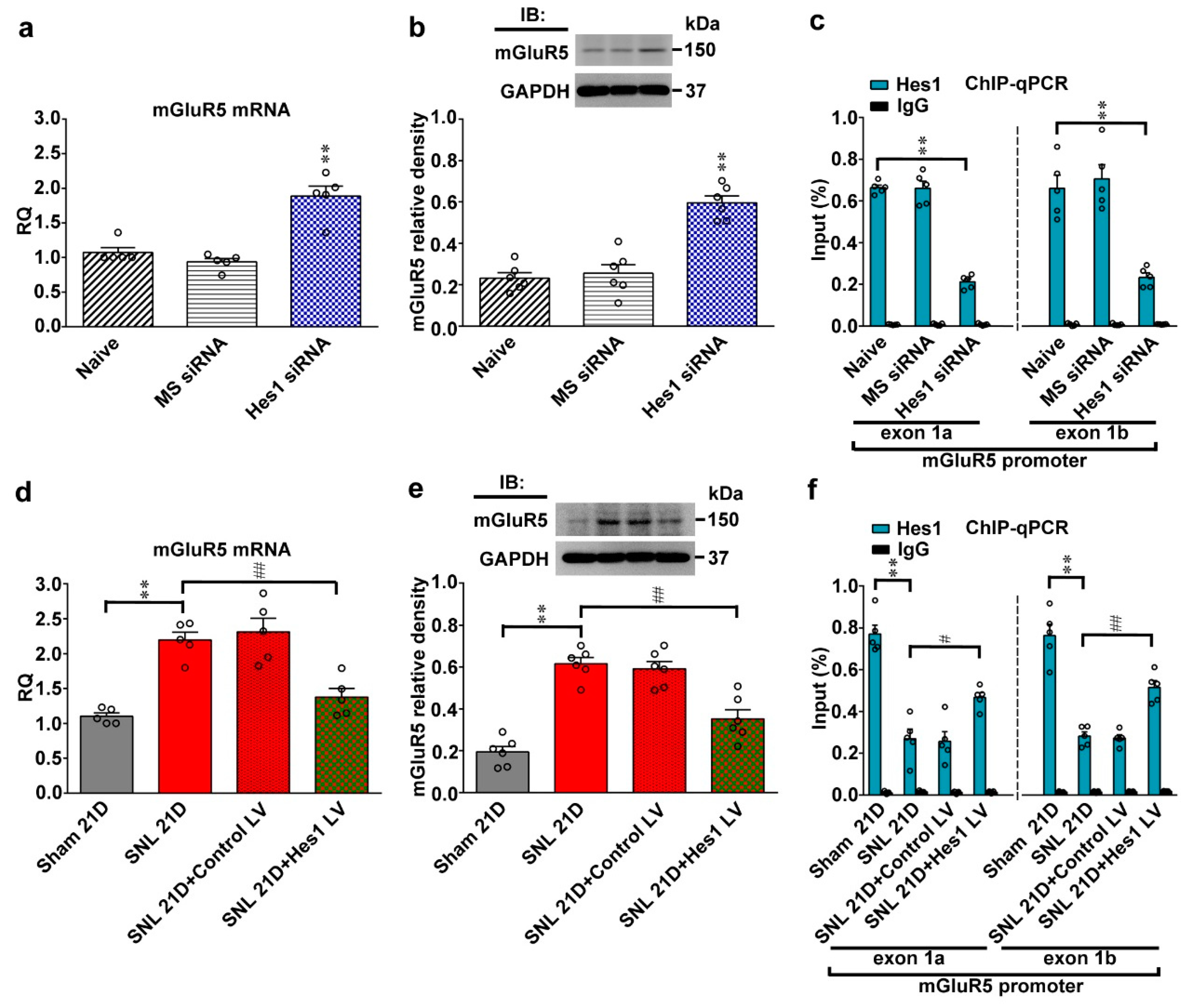 Ijms 20 04177 g004 Ijms 20 04177 g004