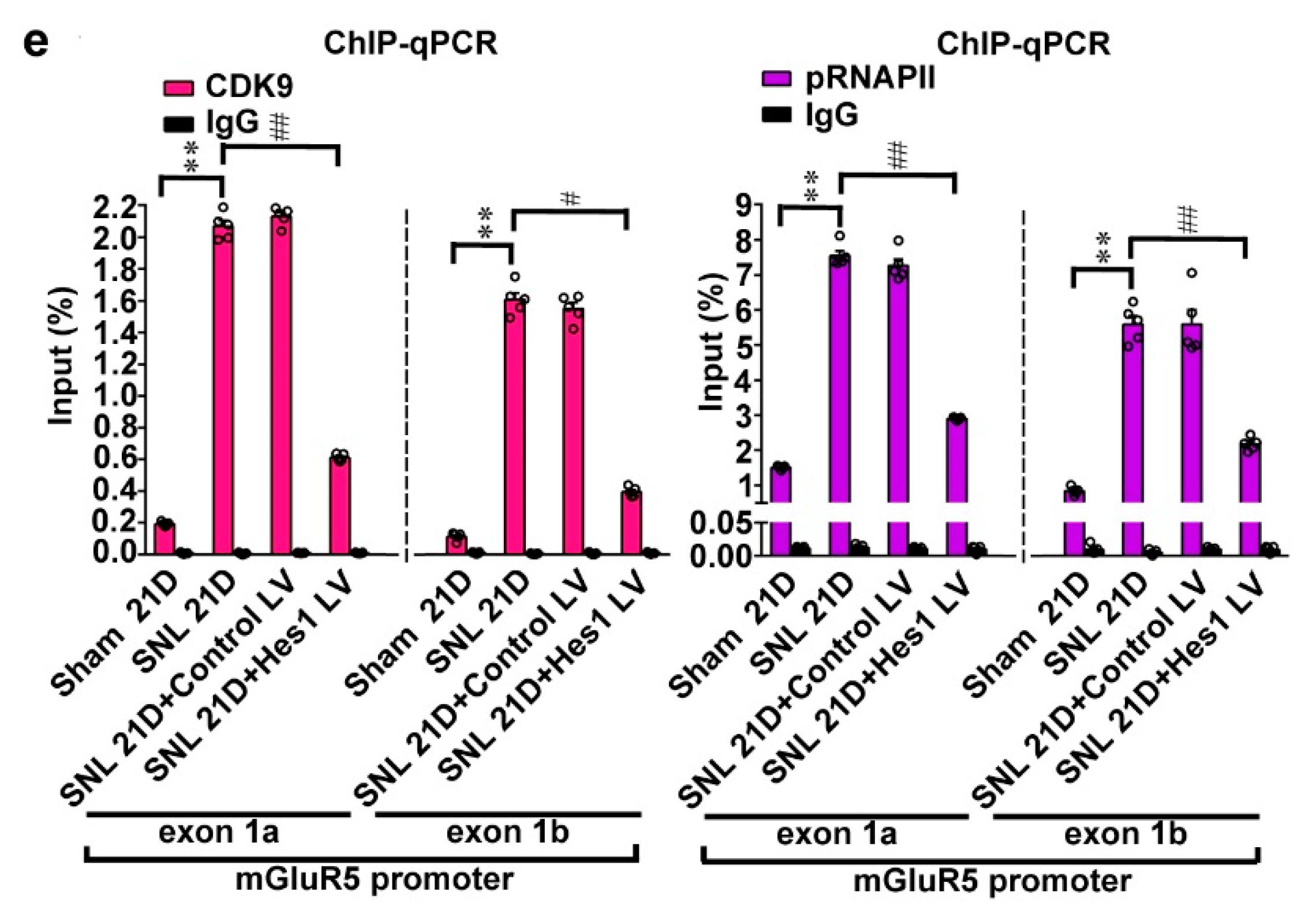 Ijms 20 04177 g005b Ijms 20 04177 g005b