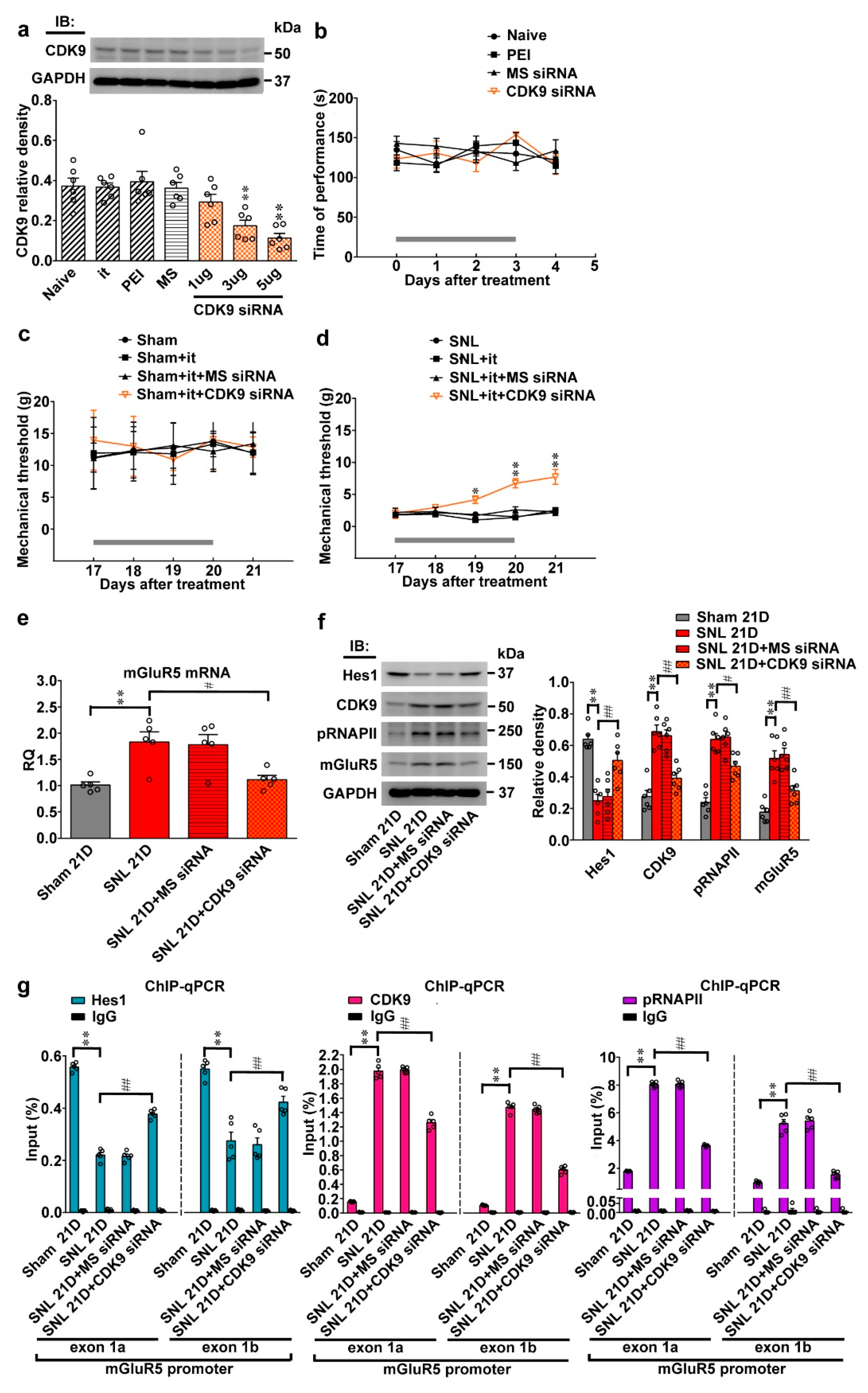 Ijms 20 04177 g006a Ijms 20 04177 g006a