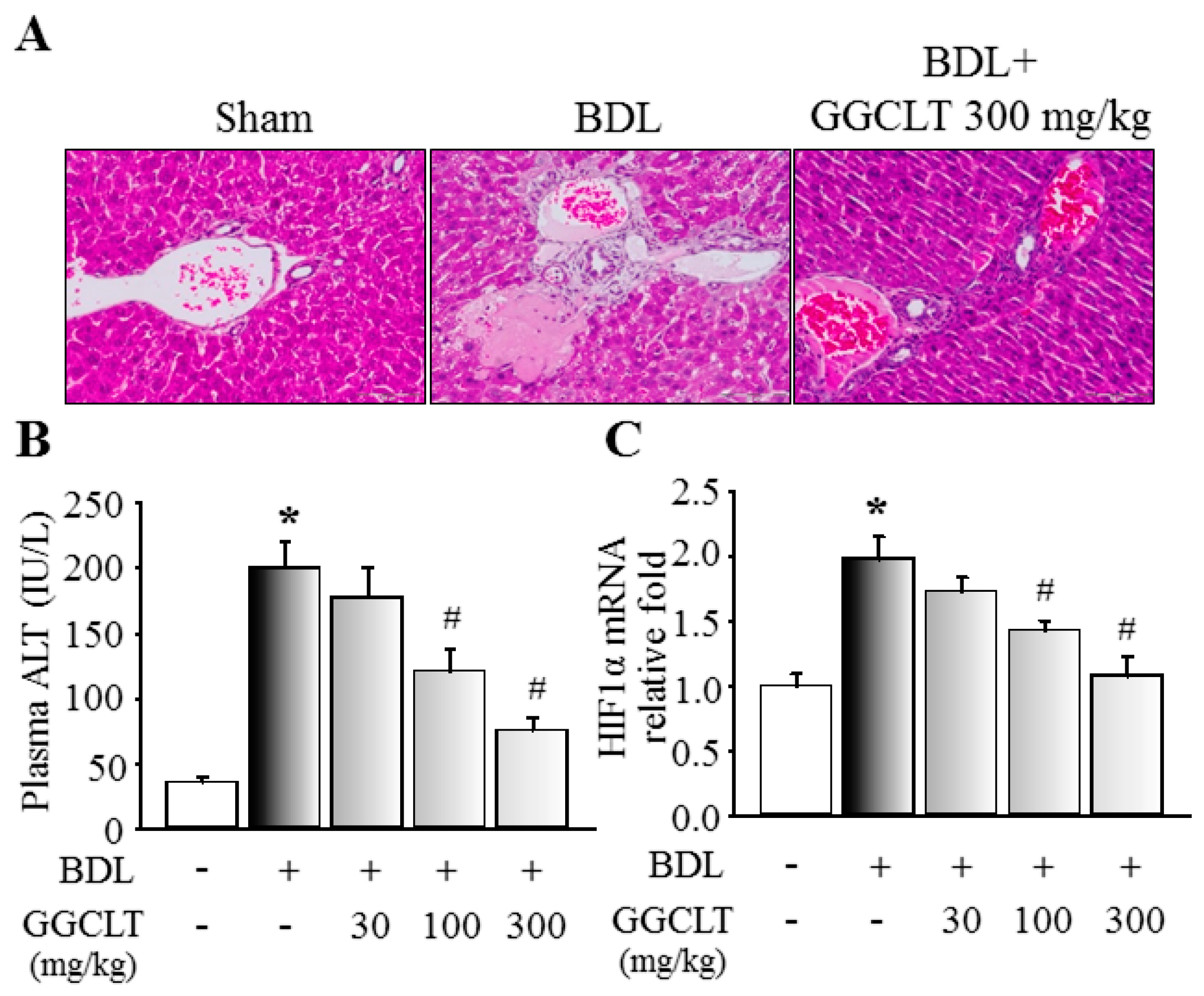 Ijms 20 04181 g002 Ijms 20 04181 g002