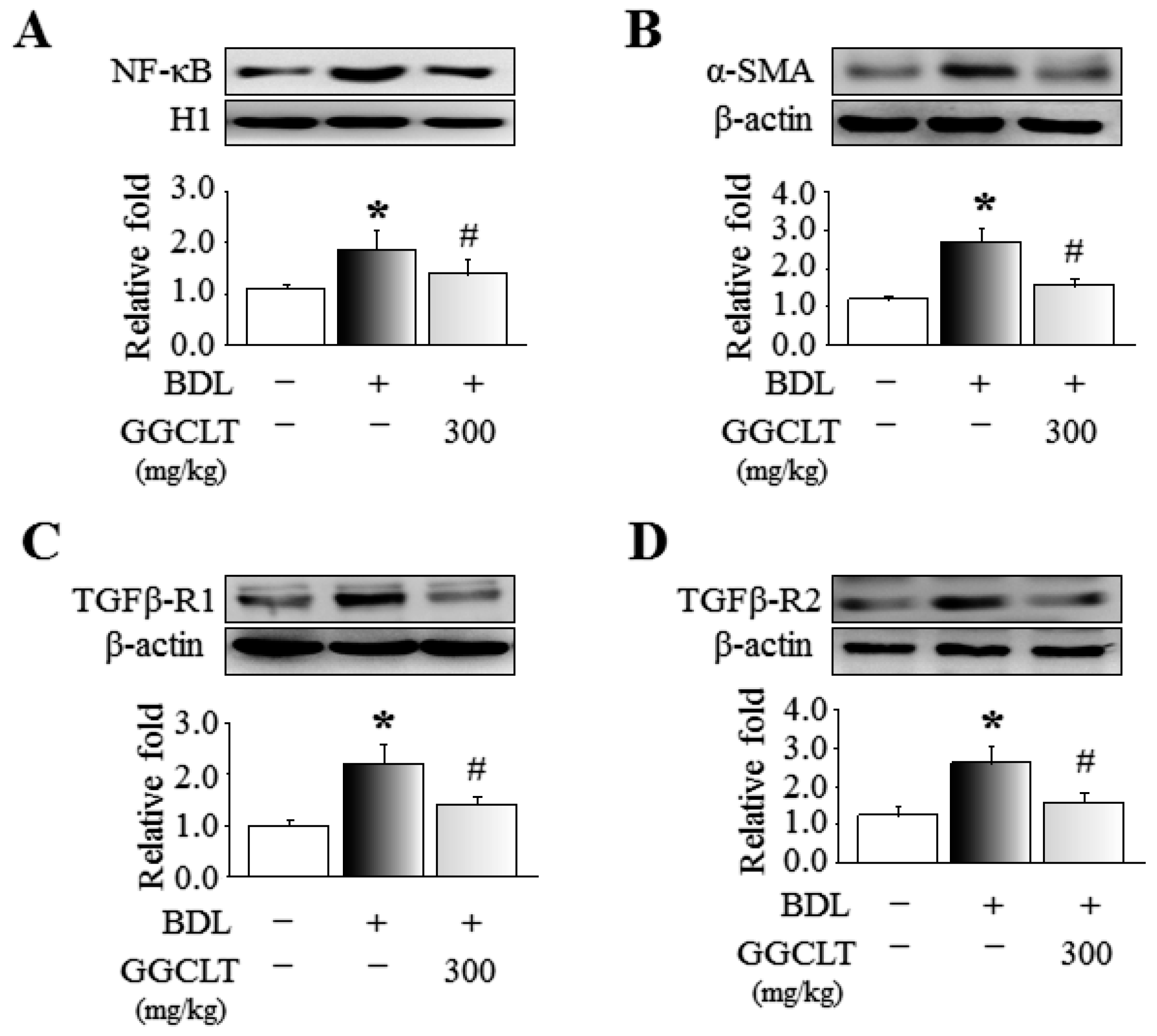 Ijms 20 04181 g004 Ijms 20 04181 g004