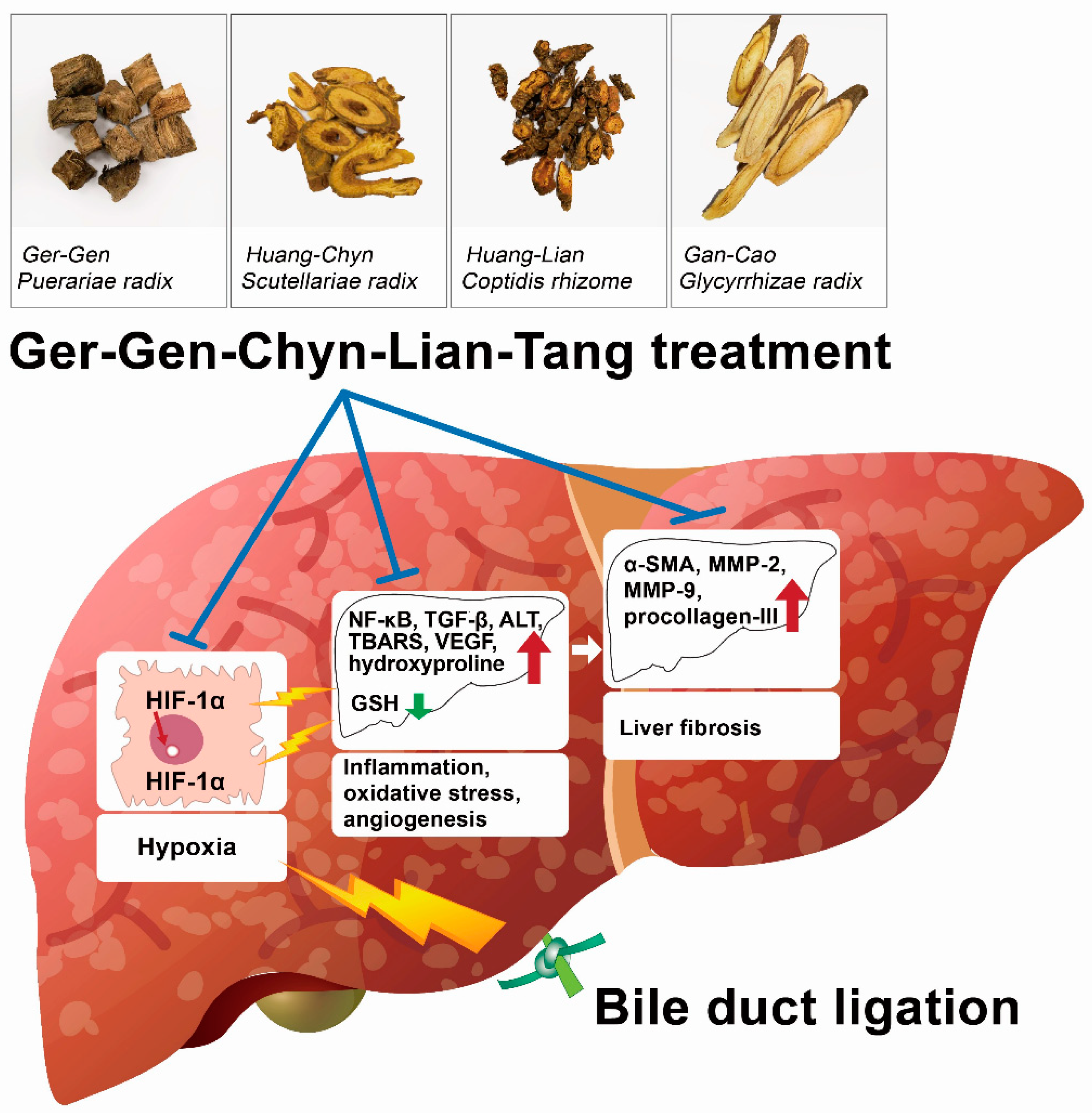 Ijms 20 04181 g007 Ijms 20 04181 g007