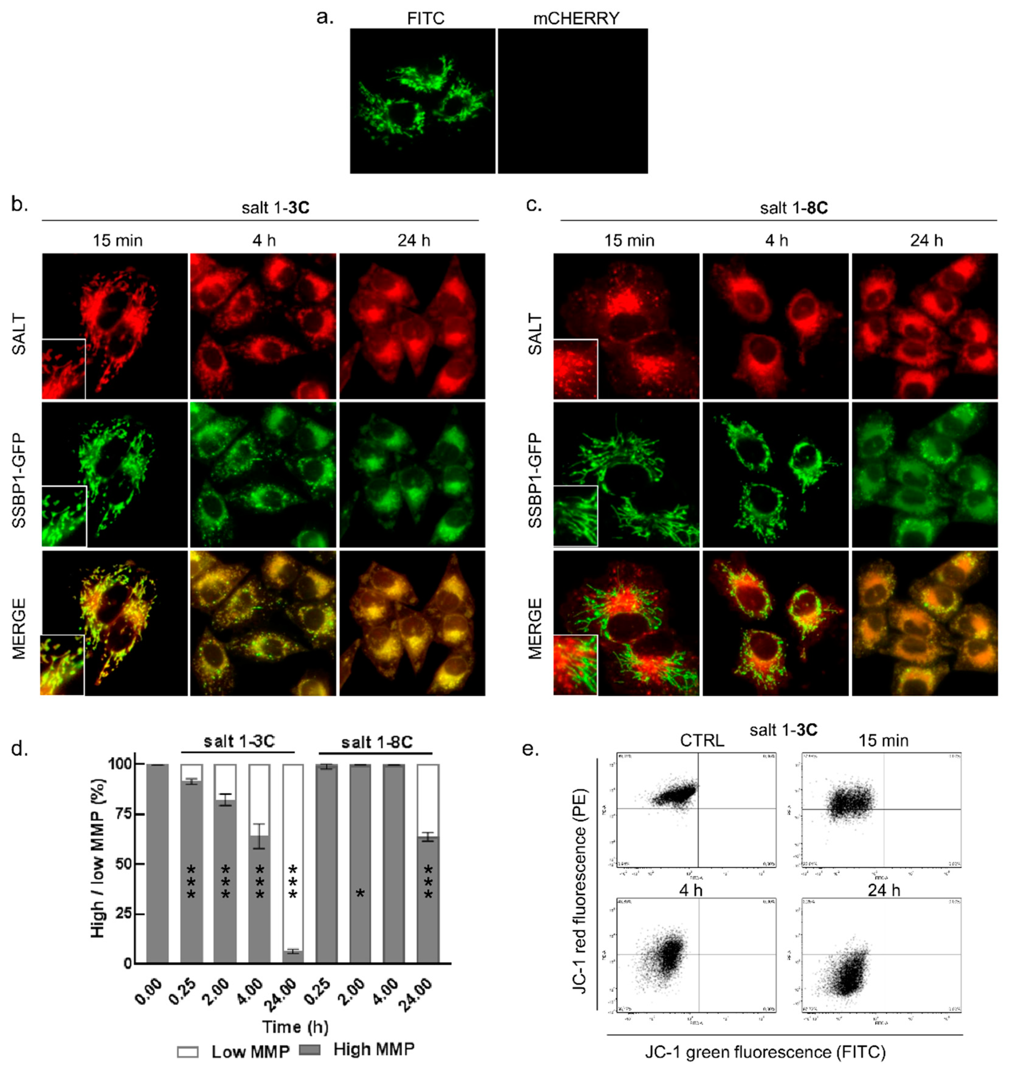 Ijms 20 04208 g002 Ijms 20 04208 g002