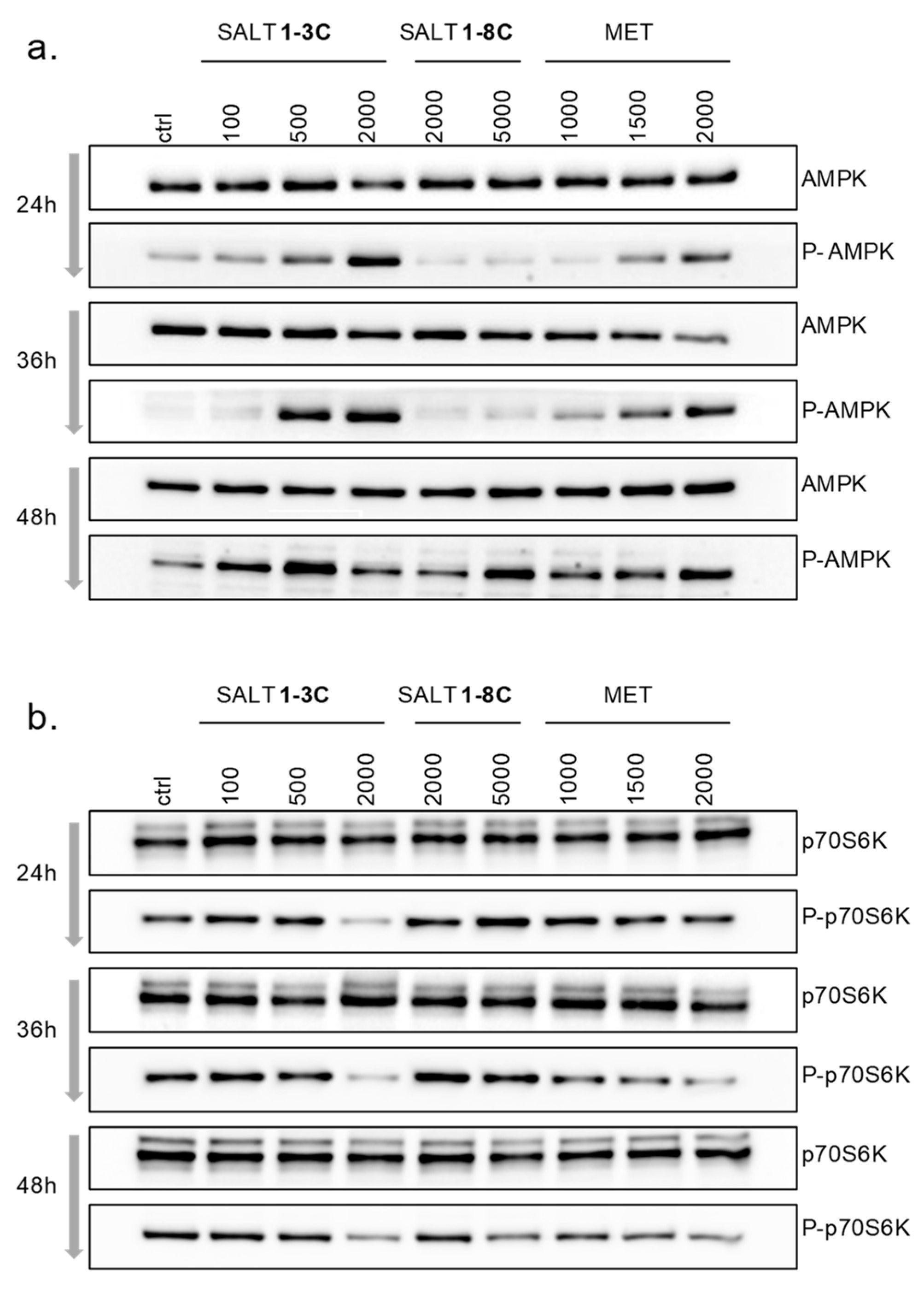 Ijms 20 04208 g005 Ijms 20 04208 g005