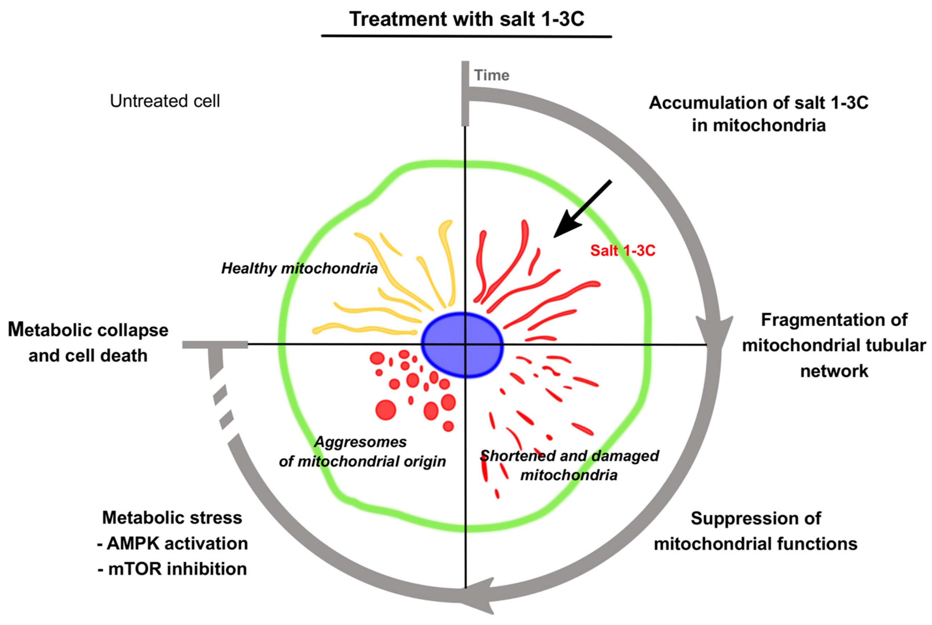 Ijms 20 04208 g008 Ijms 20 04208 g008