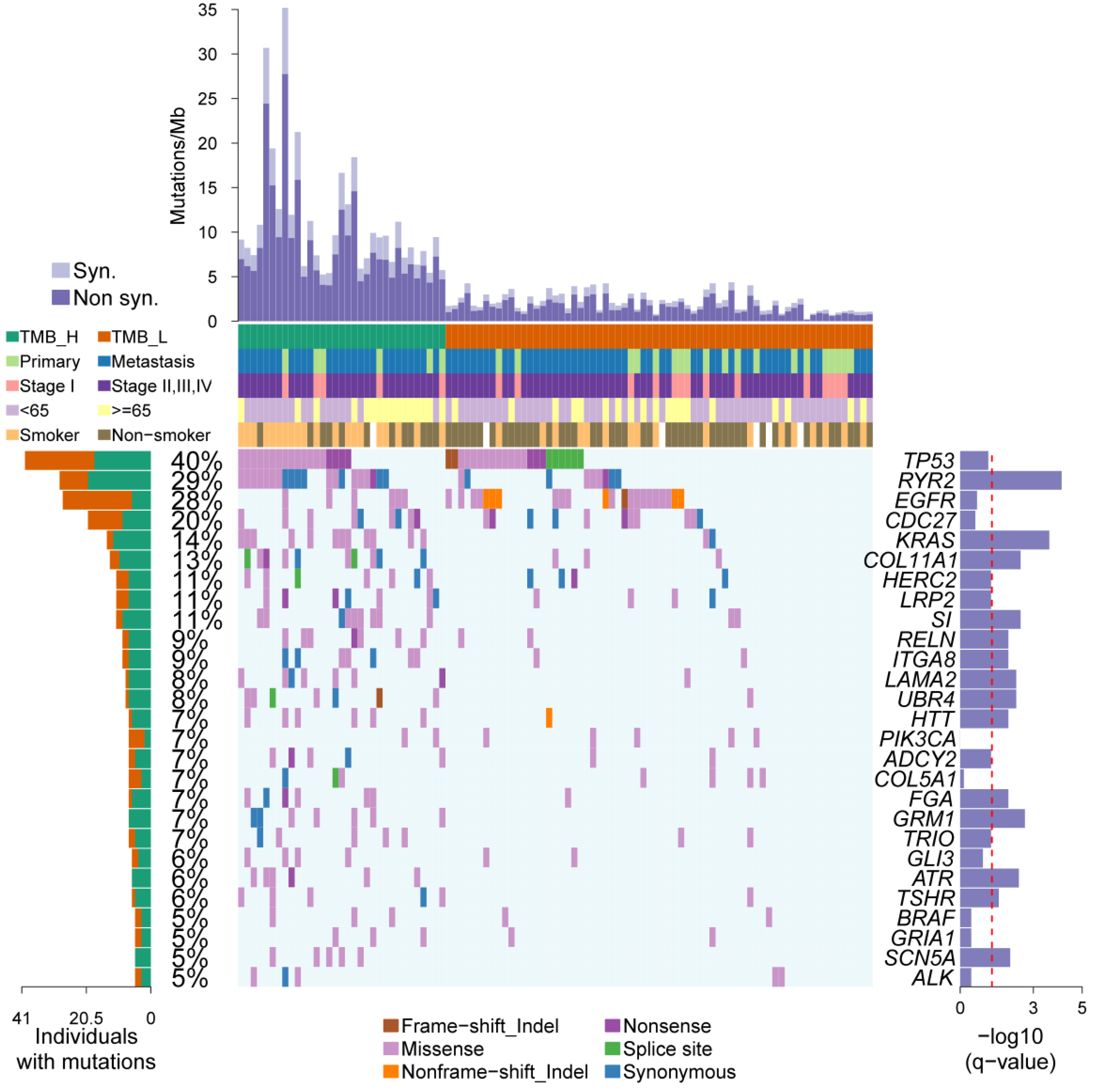 Ijms 20 04251 g002 Ijms 20 04251 g002