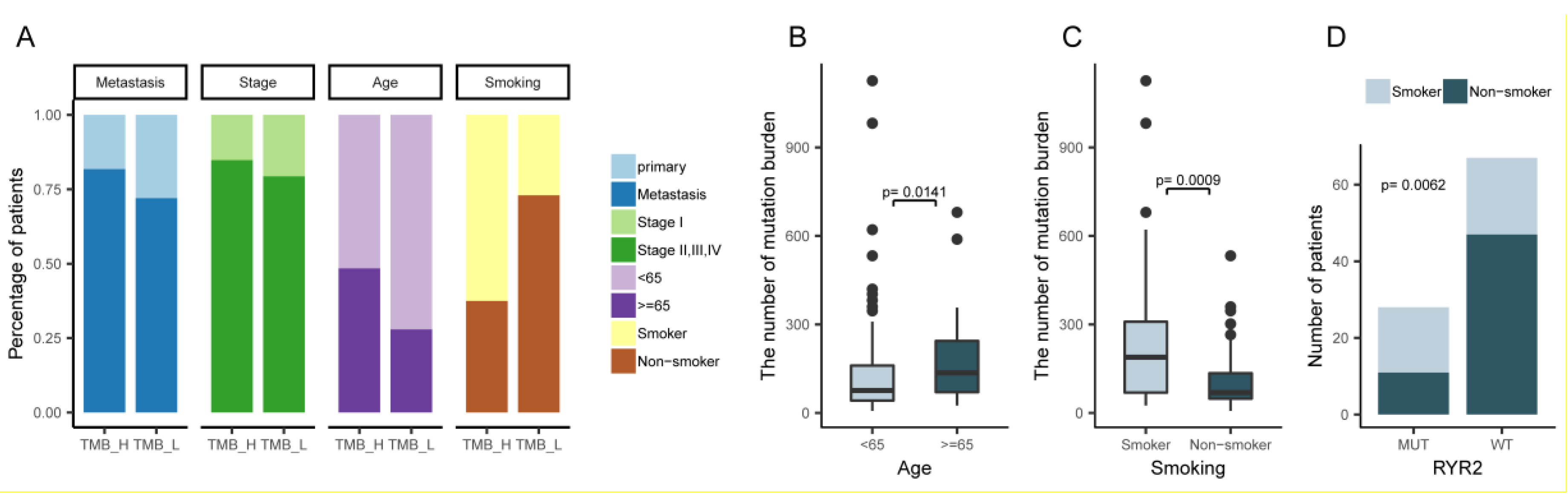 Ijms 20 04251 g004 Ijms 20 04251 g004
