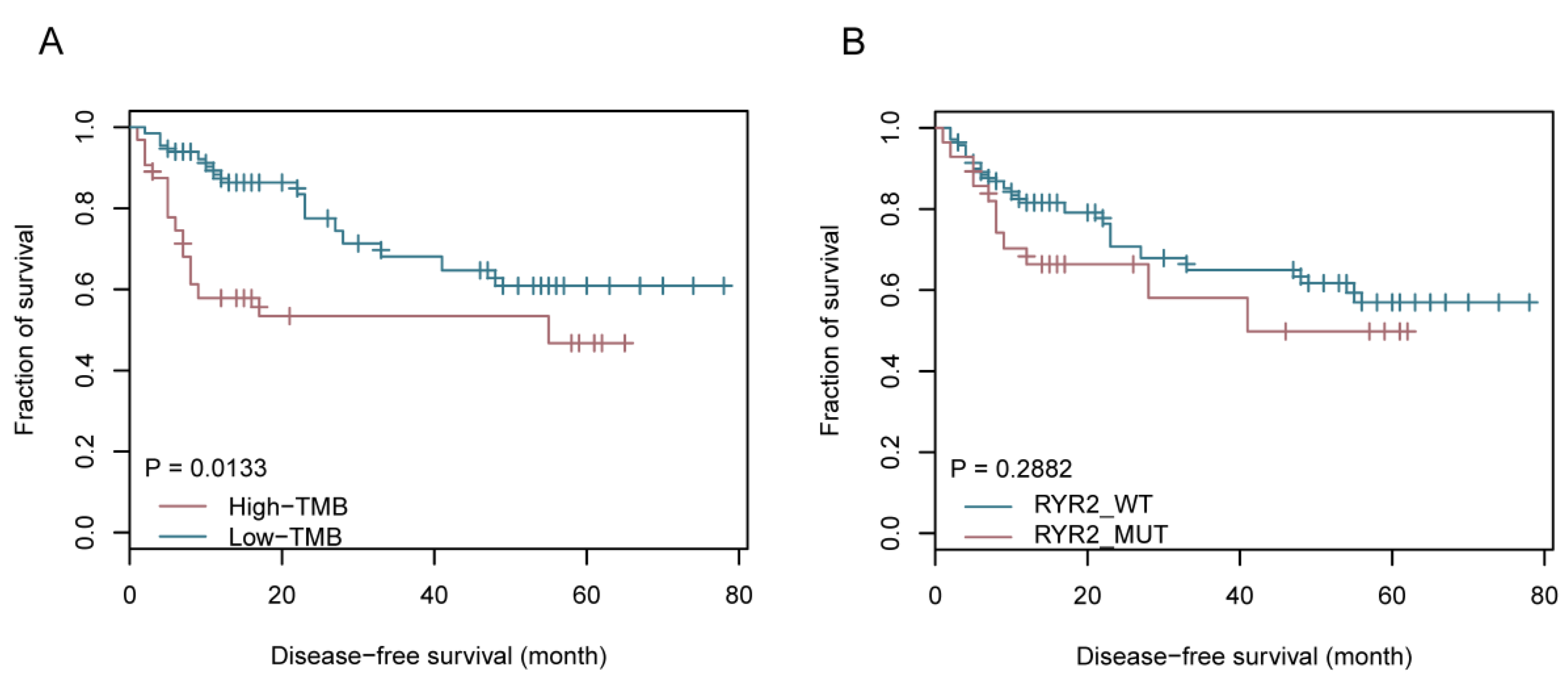 Ijms 20 04251 g005 Ijms 20 04251 g005