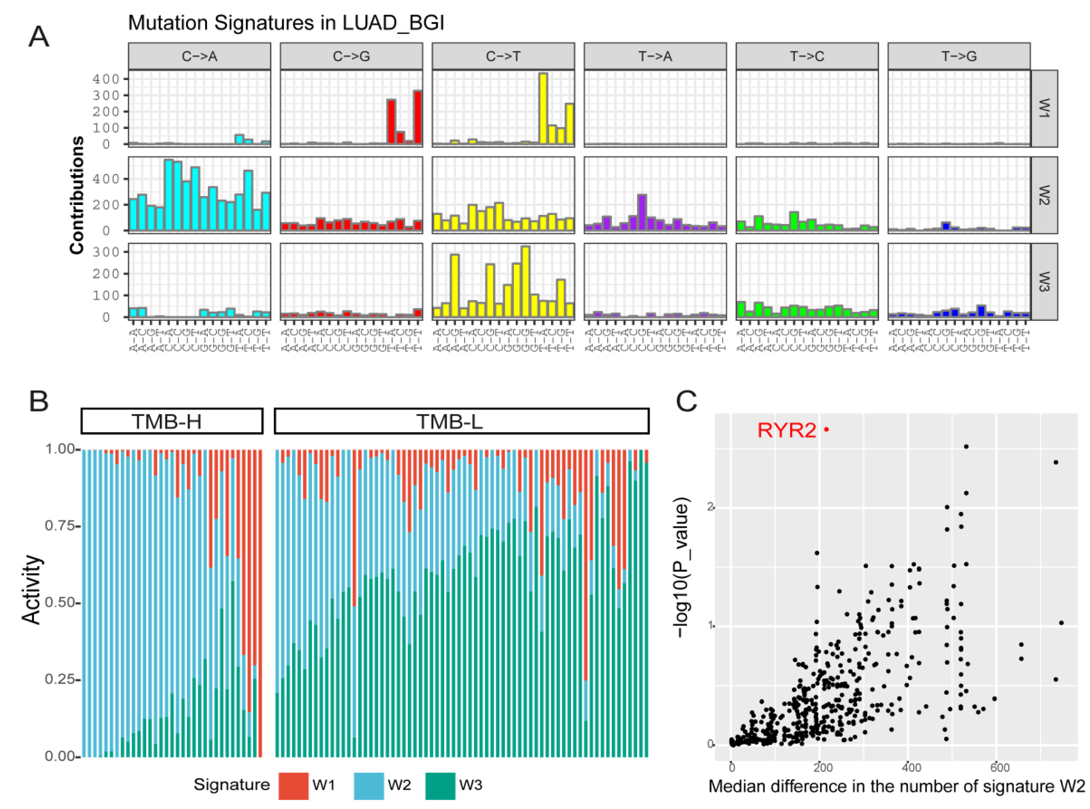 Ijms 20 04251 g006 Ijms 20 04251 g006
