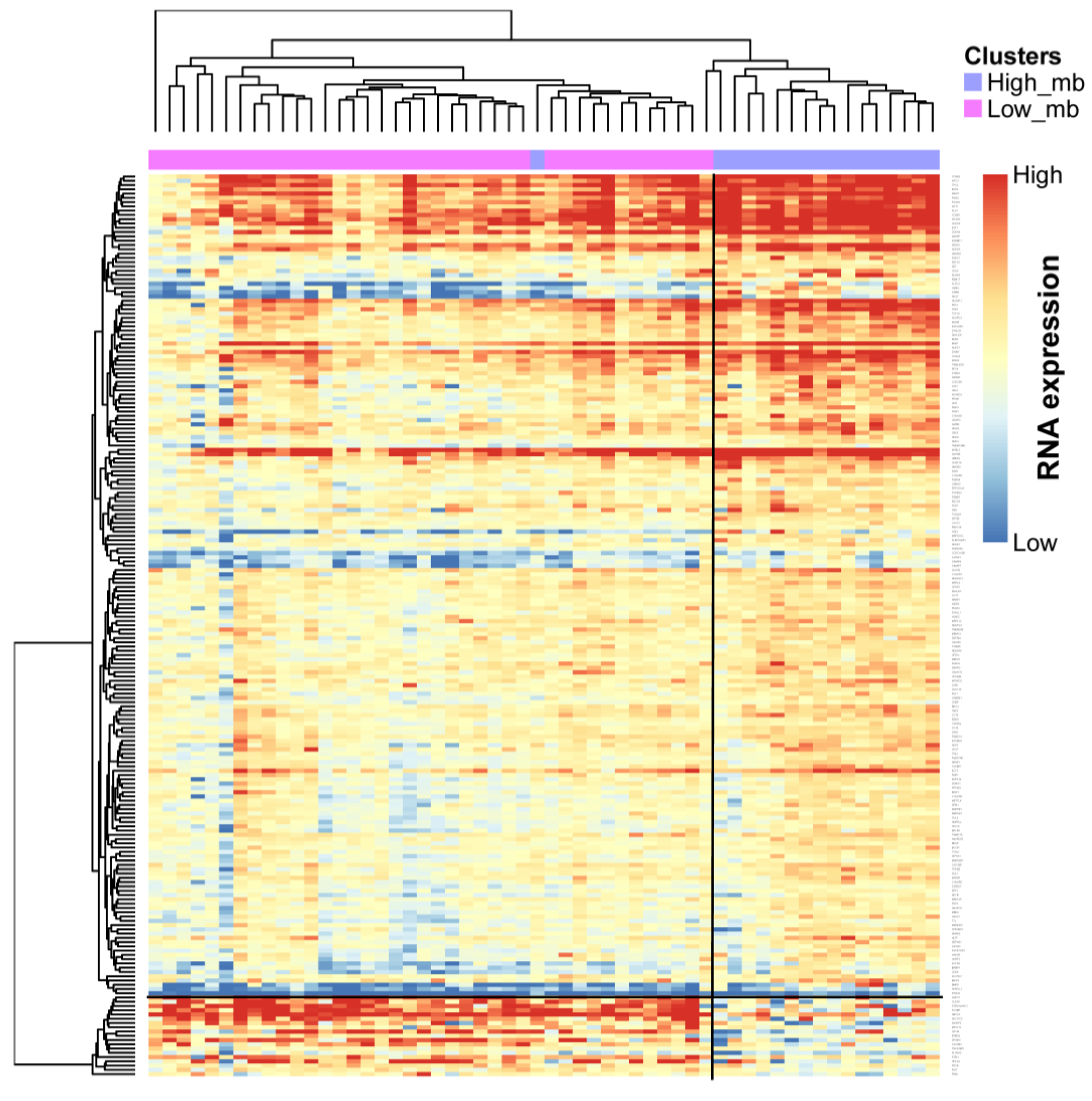Ijms 20 04251 g007 Ijms 20 04251 g007