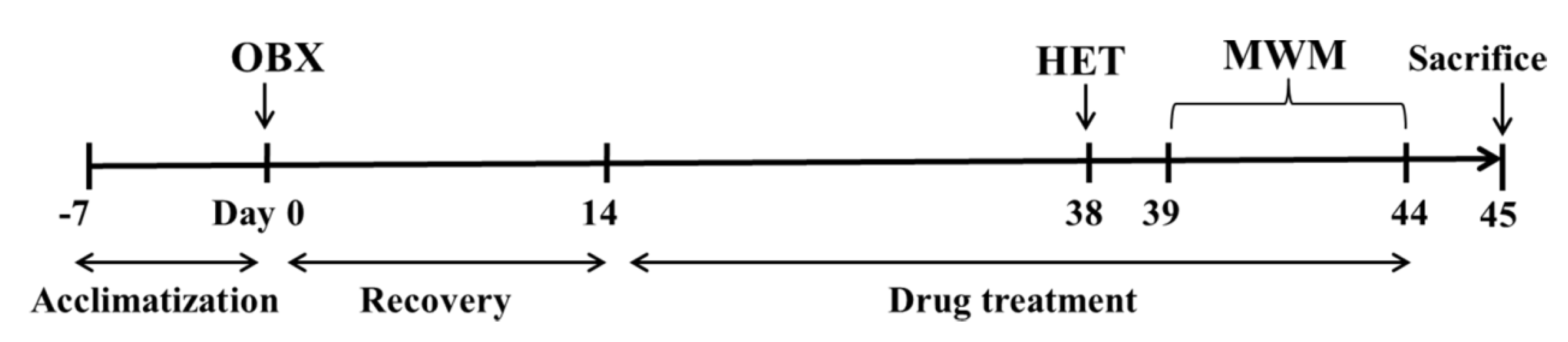 Ijms 20 04282 g001 Ijms 20 04282 g001