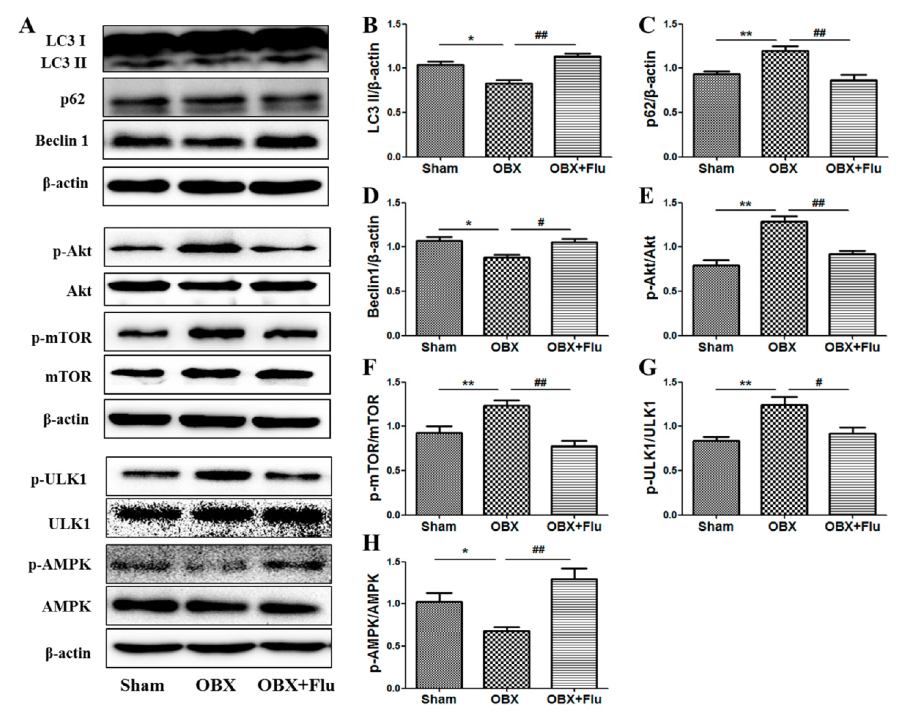 Ijms 20 04282 g007 Ijms 20 04282 g007