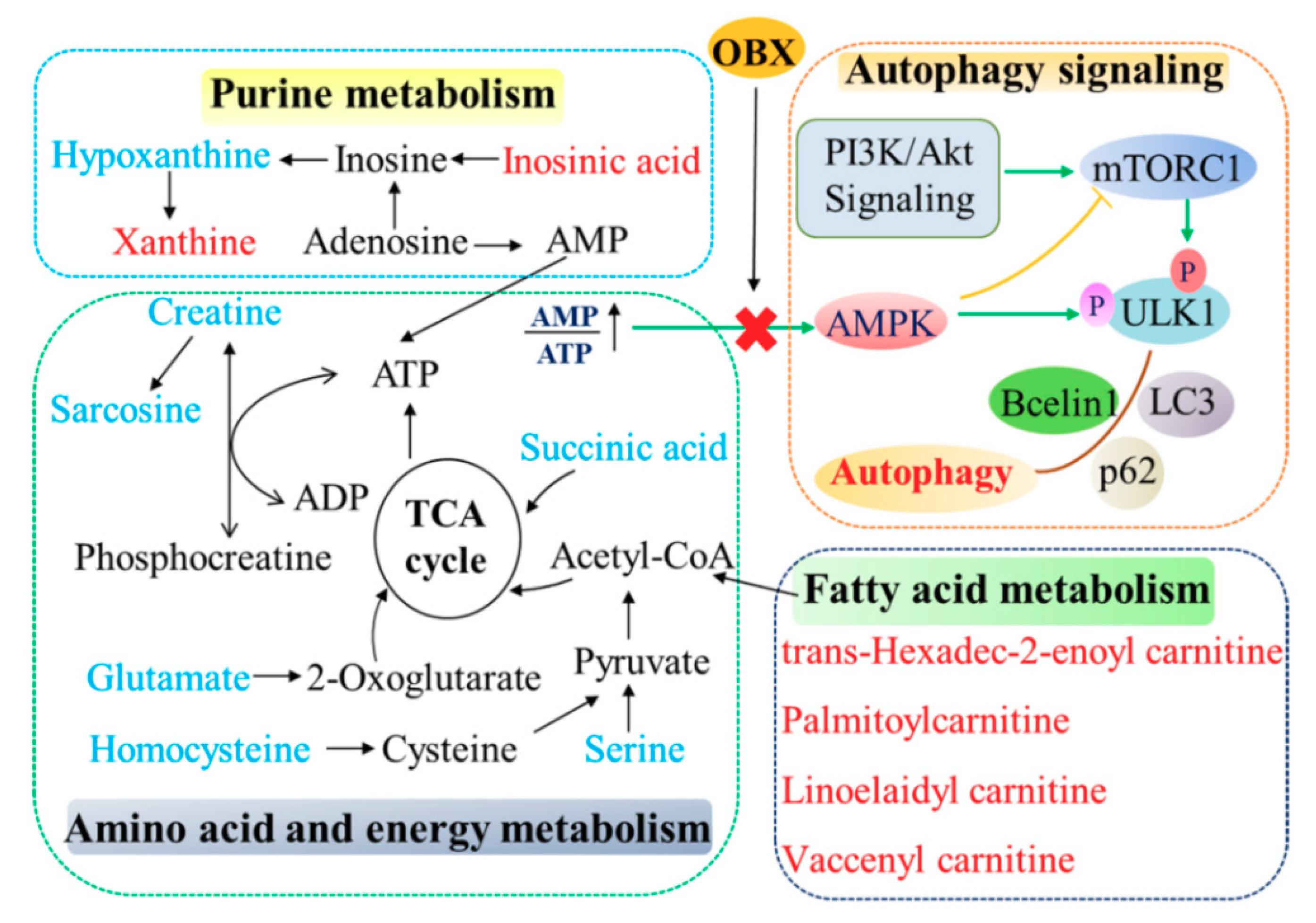 Ijms 20 04282 g008 Ijms 20 04282 g008