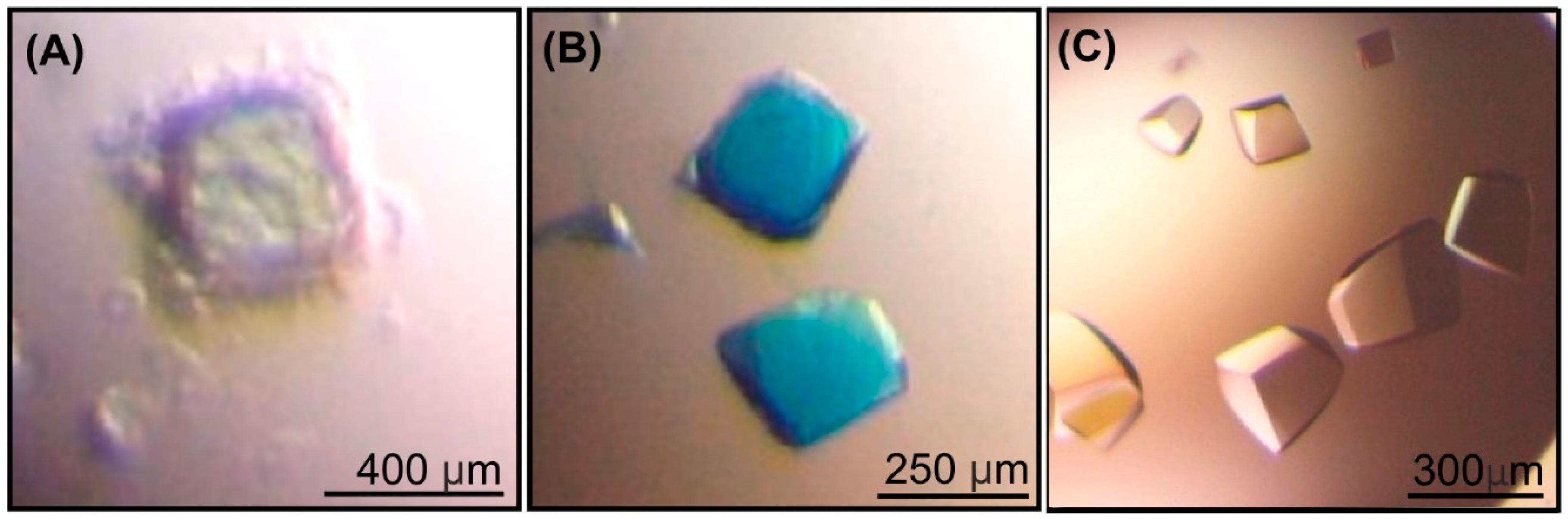 Ijms 20 04301 g001