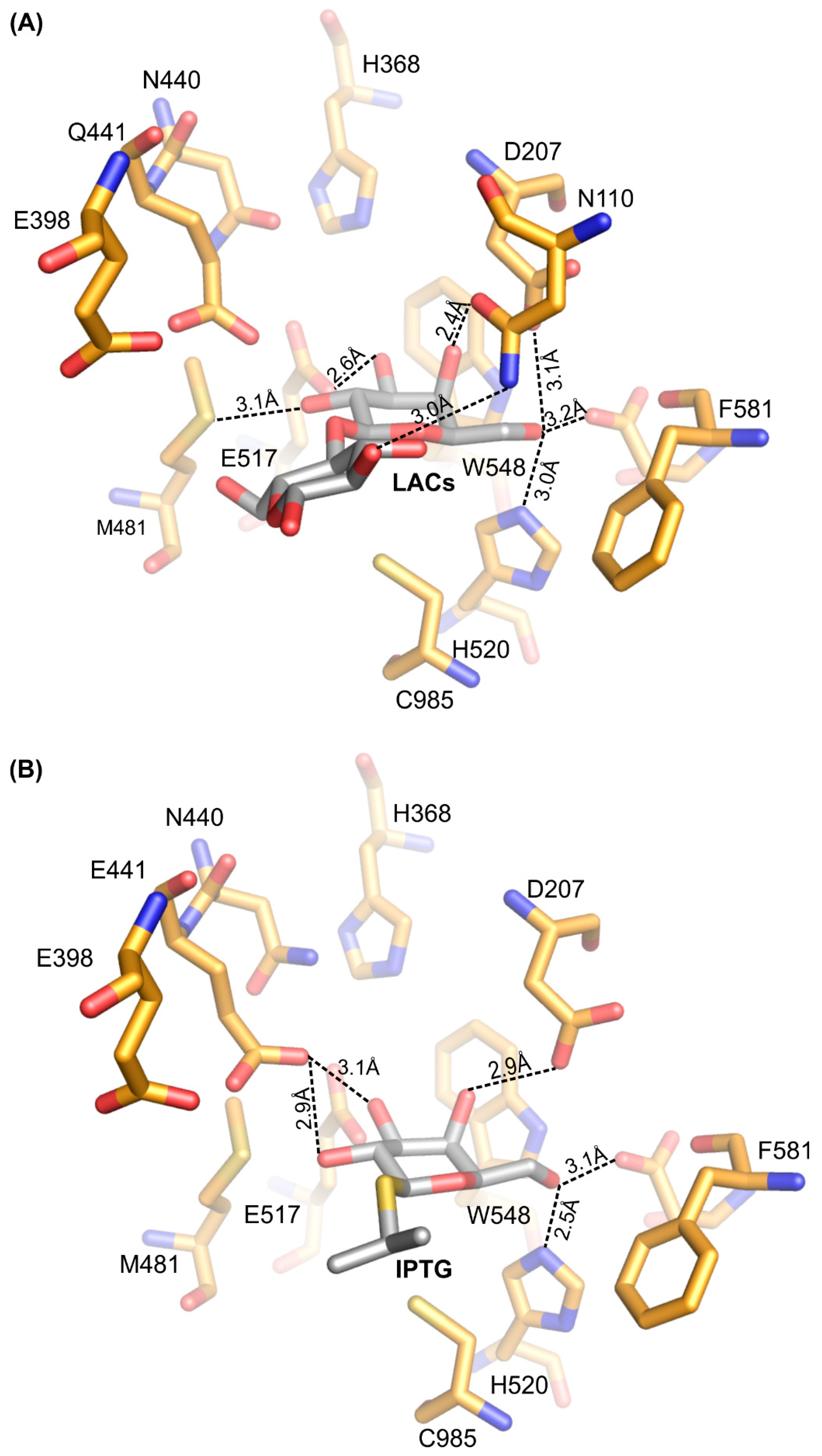 Ijms 20 04301 g005
