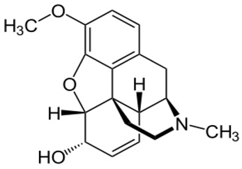 Ijms 20 04302 i004 Ijms 20 04302 i004