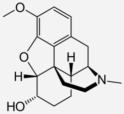 Ijms 20 04302 i007 Ijms 20 04302 i007