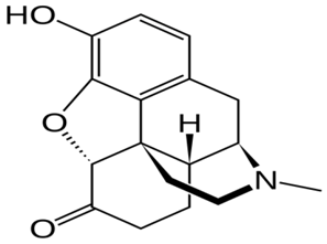 Ijms 20 04302 i010 Ijms 20 04302 i010