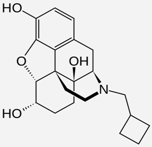 Ijms 20 04302 i017 Ijms 20 04302 i017