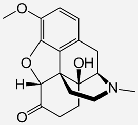 Ijms 20 04302 i021 Ijms 20 04302 i021