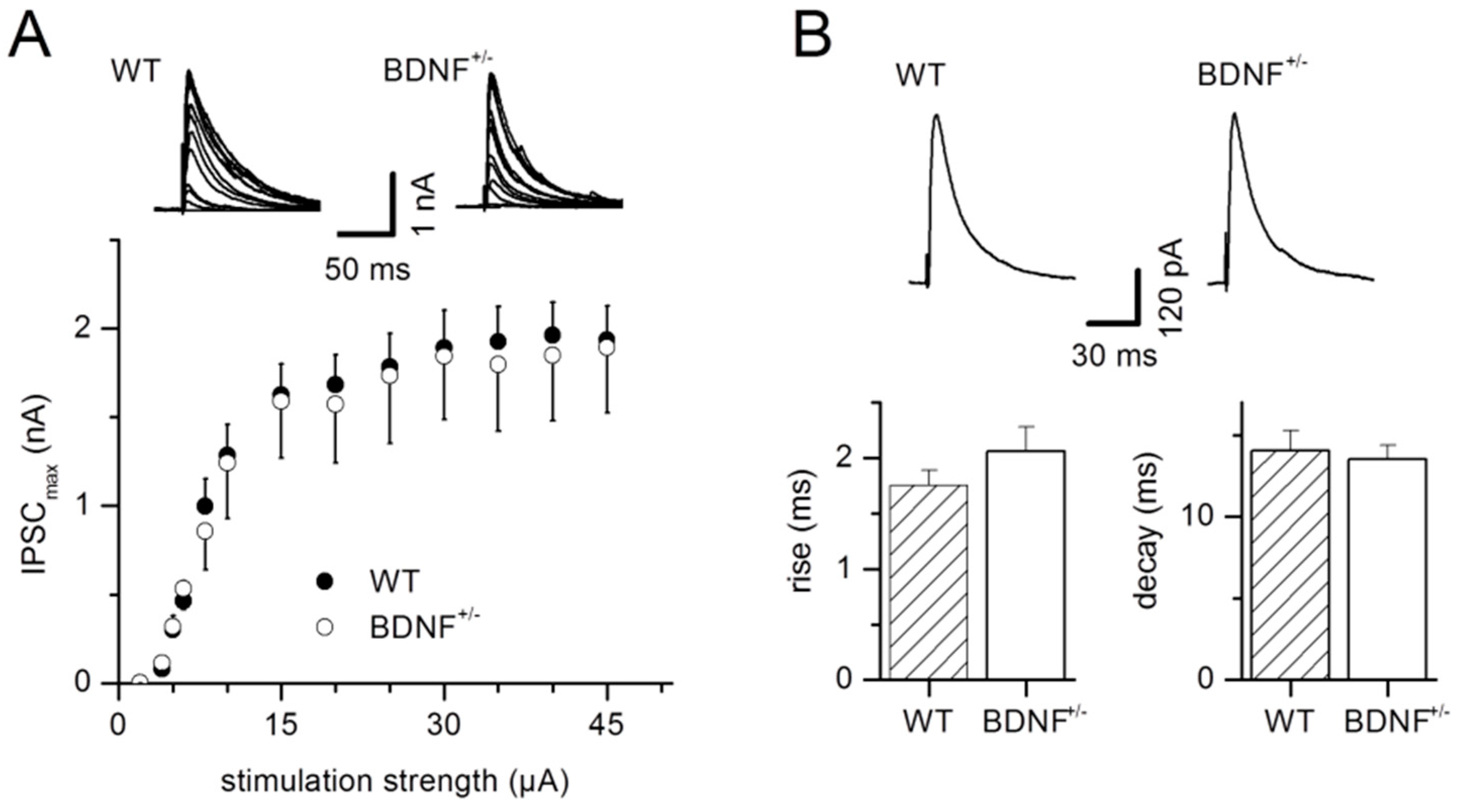 Ijms 20 04310 g001 Ijms 20 04310 g001
