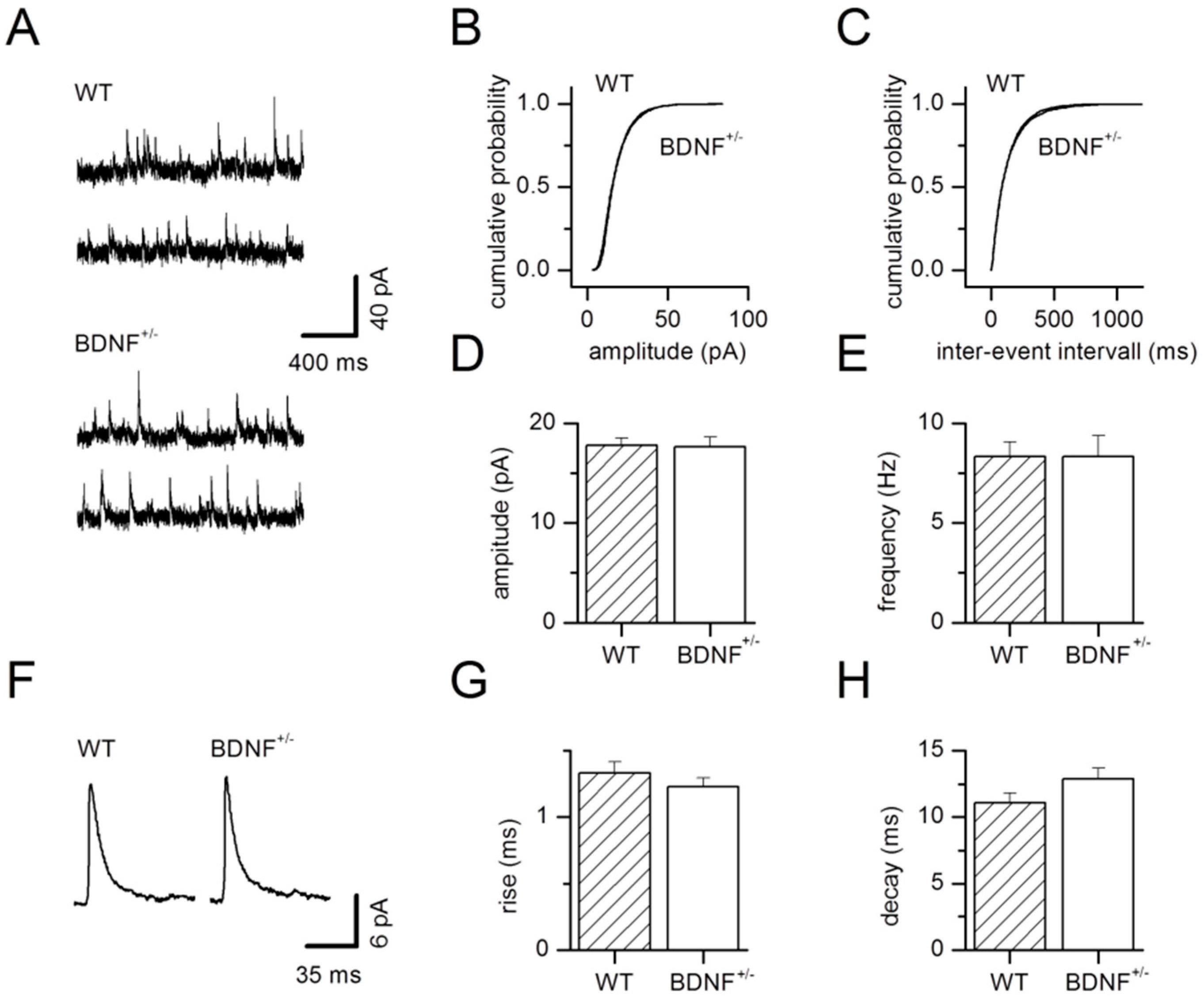 Ijms 20 04310 g002 Ijms 20 04310 g002