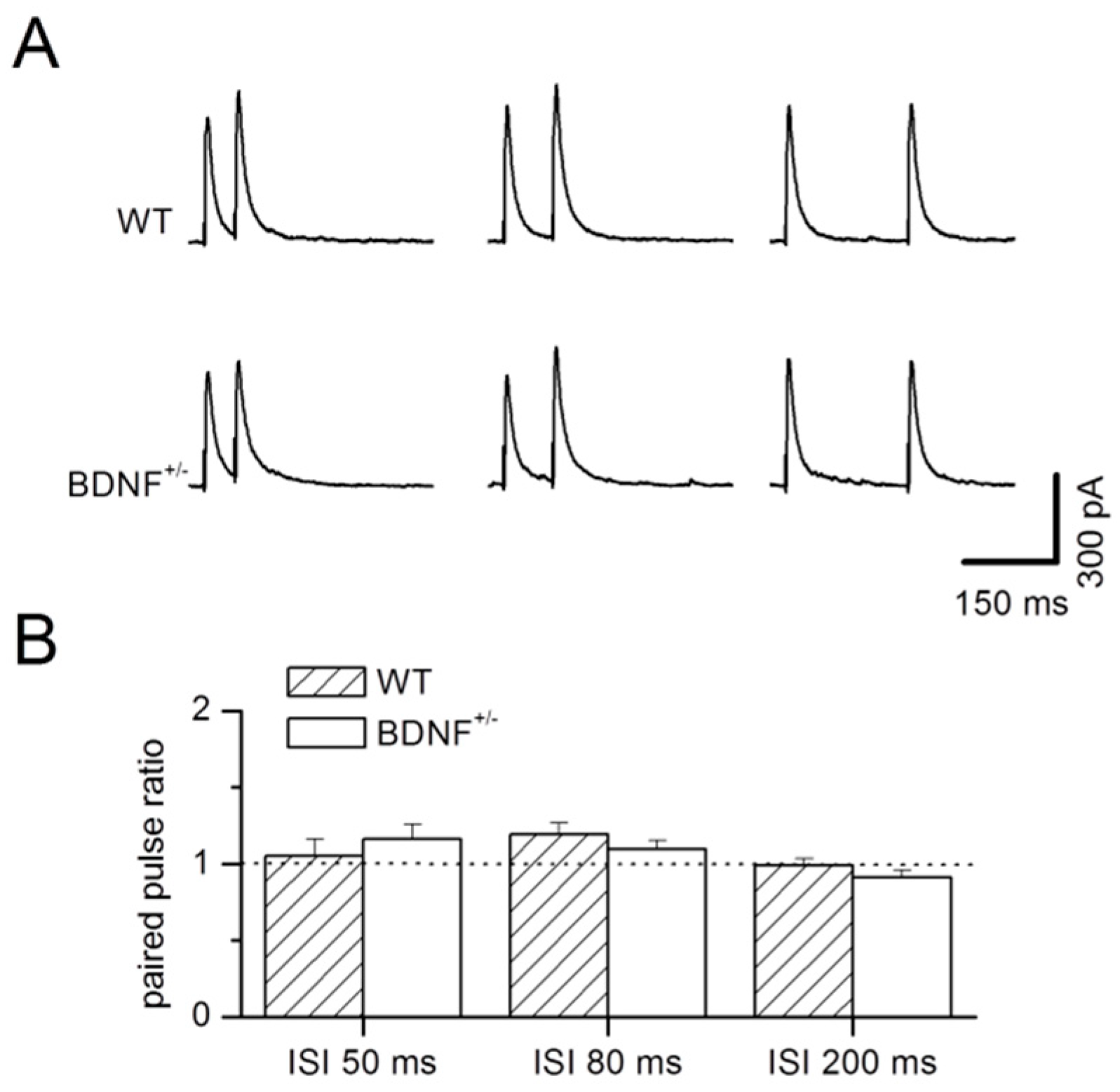 Ijms 20 04310 g003 Ijms 20 04310 g003