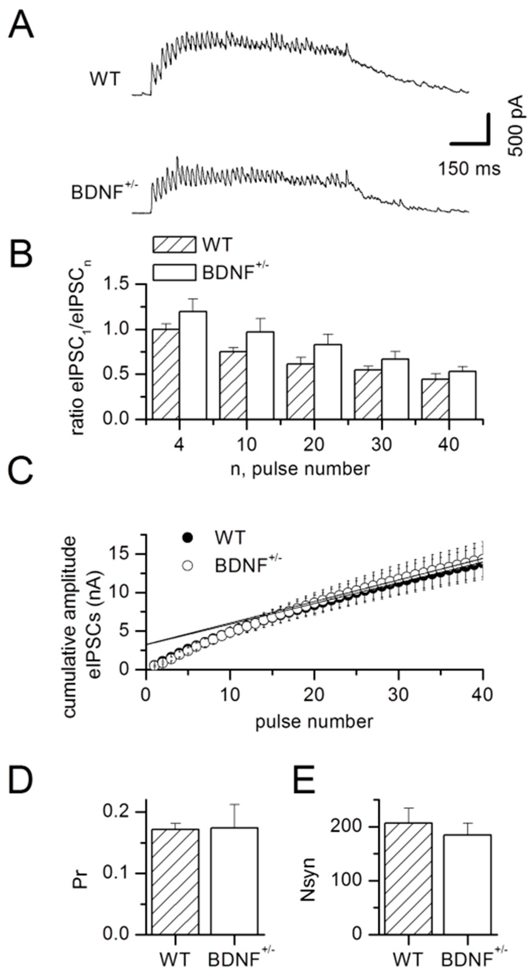 Ijms 20 04310 g004 Ijms 20 04310 g004