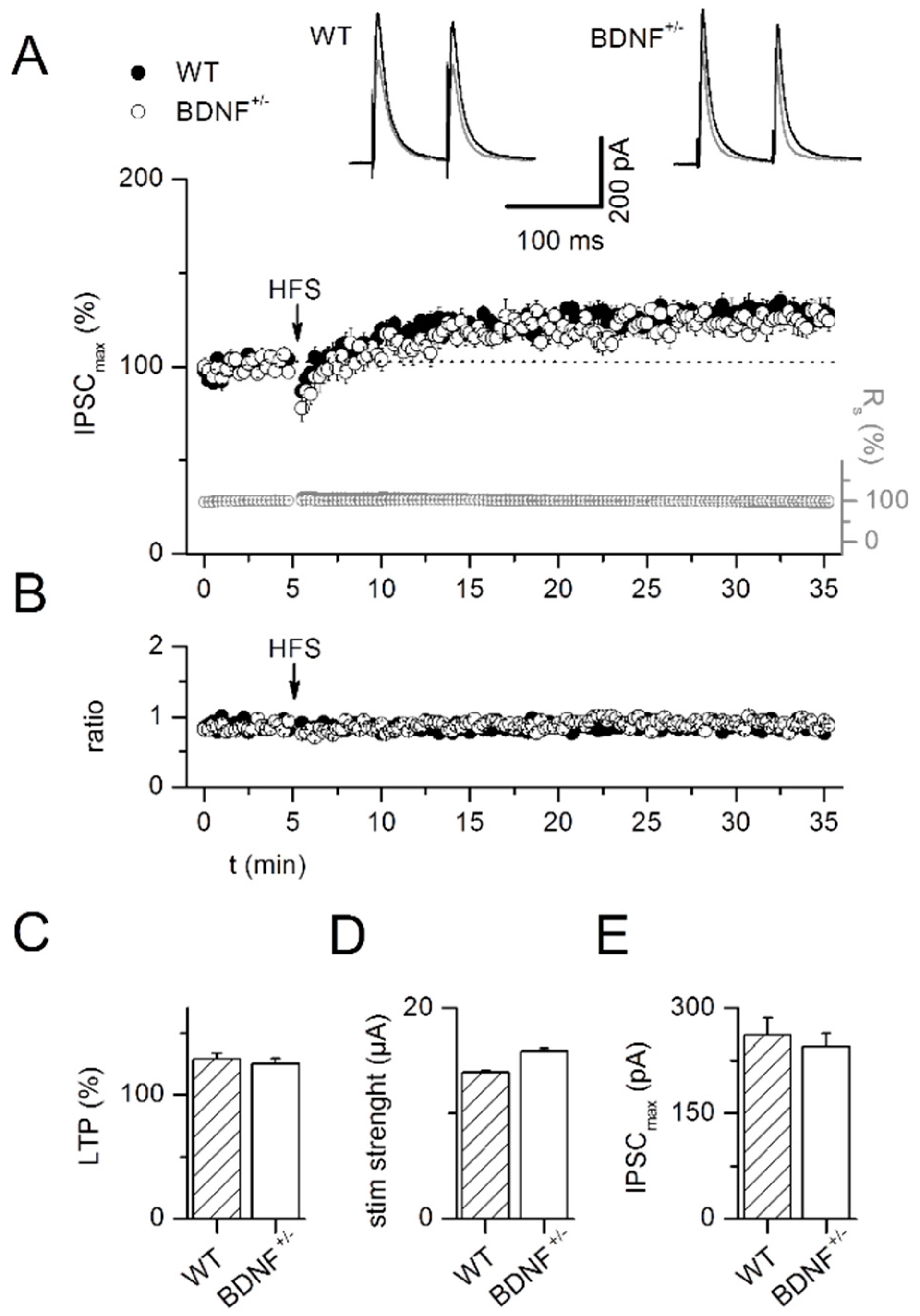 Ijms 20 04310 g005 Ijms 20 04310 g005