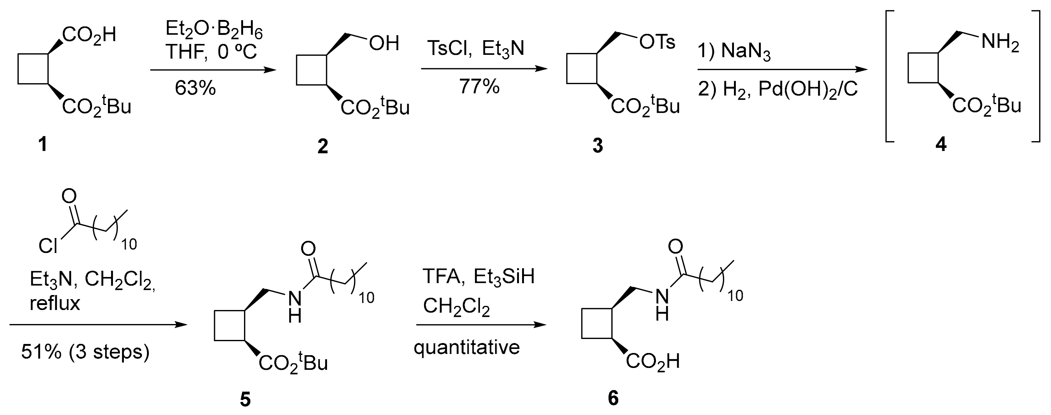Ijms 20 04333 sch002
