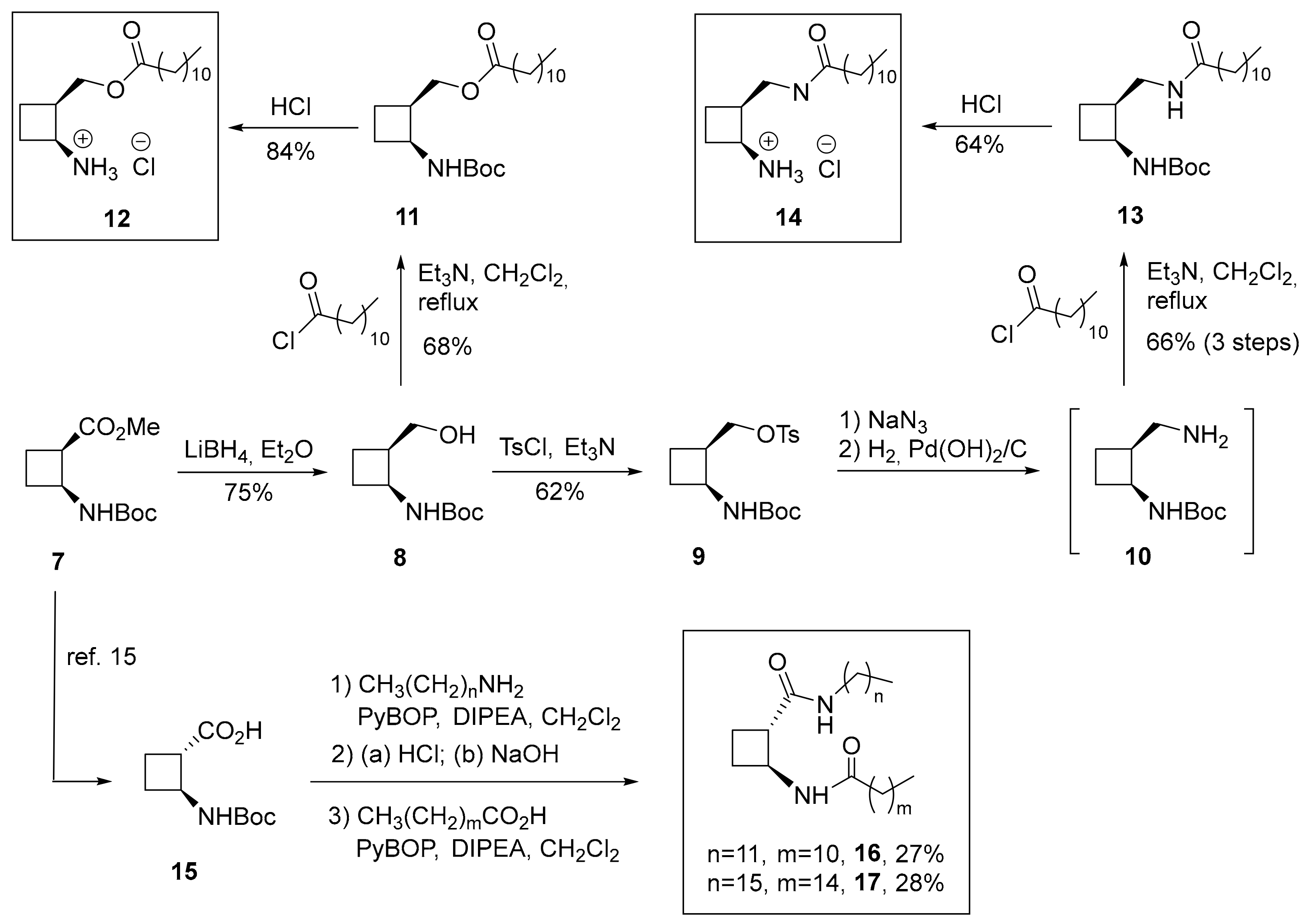 Ijms 20 04333 sch003