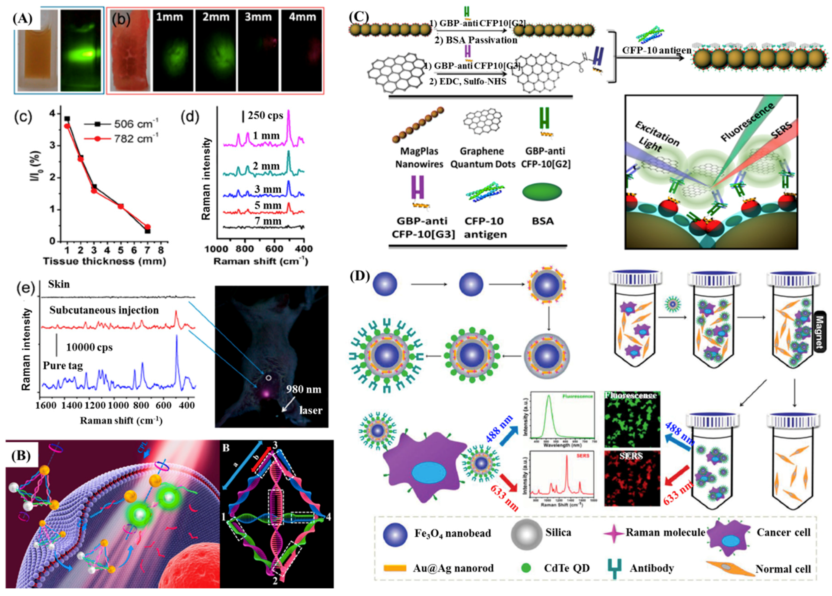 Ijms 20 04346 g007 Ijms 20 04346 g007