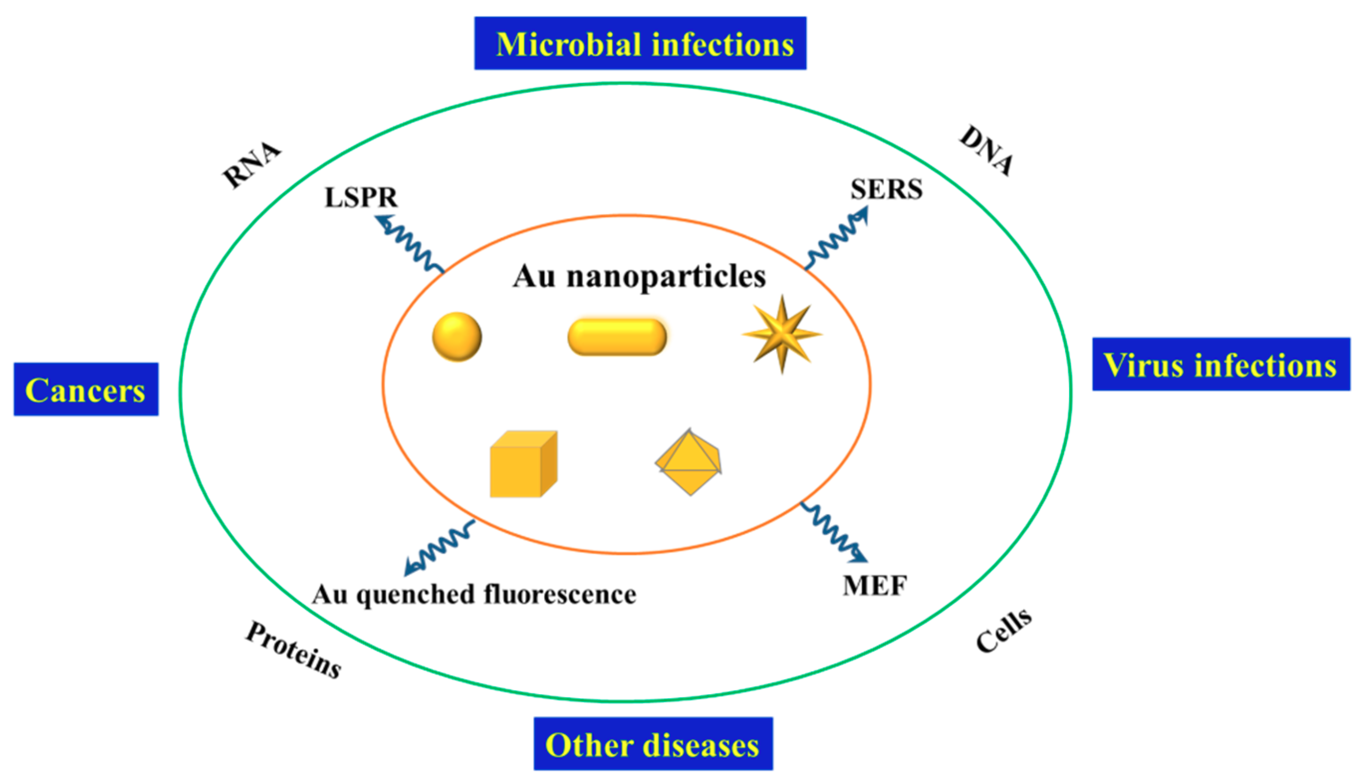 Ijms 20 04346 sch001 Ijms 20 04346 sch001