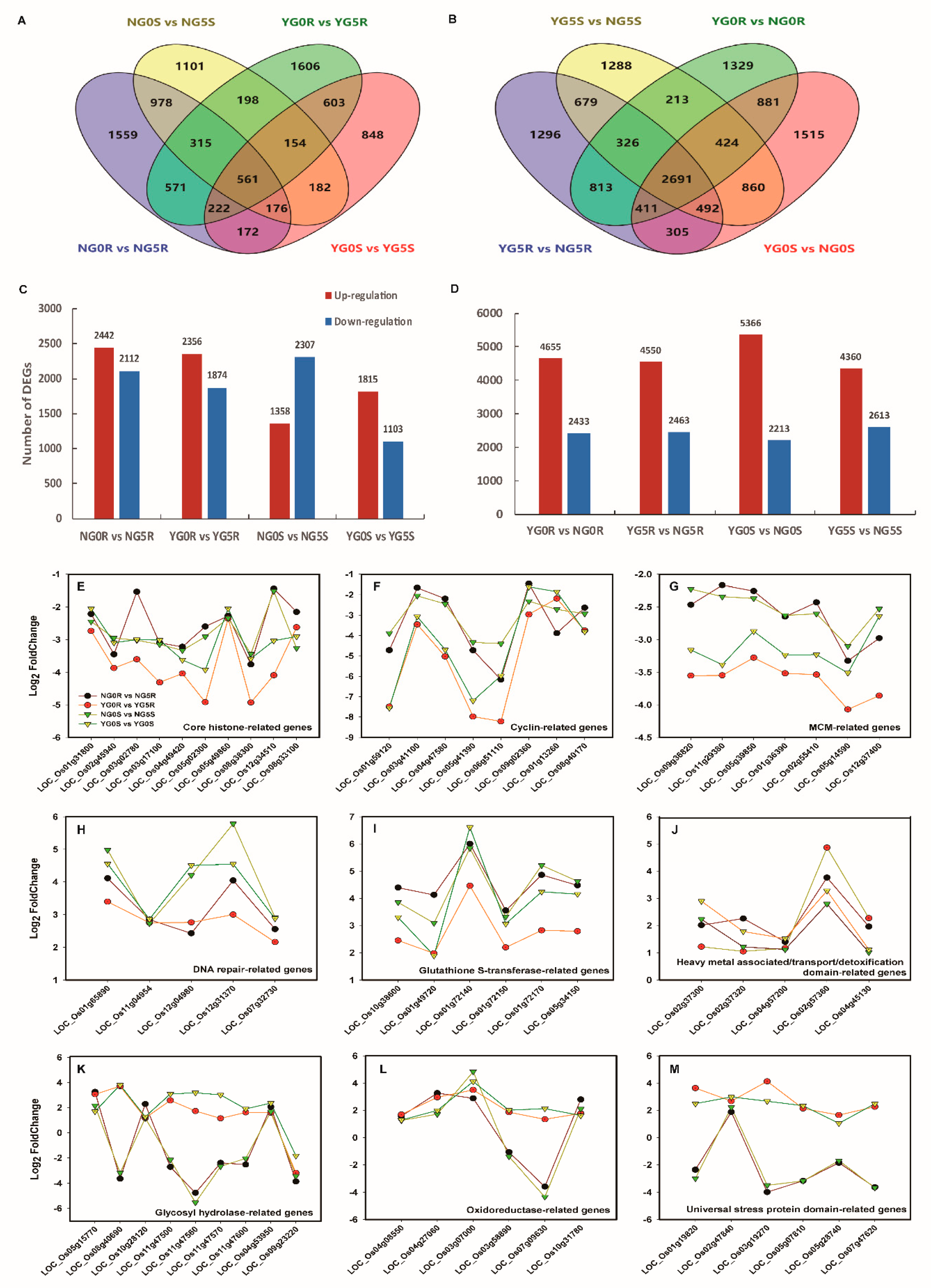 Ijms 20 04358 g005 Ijms 20 04358 g005