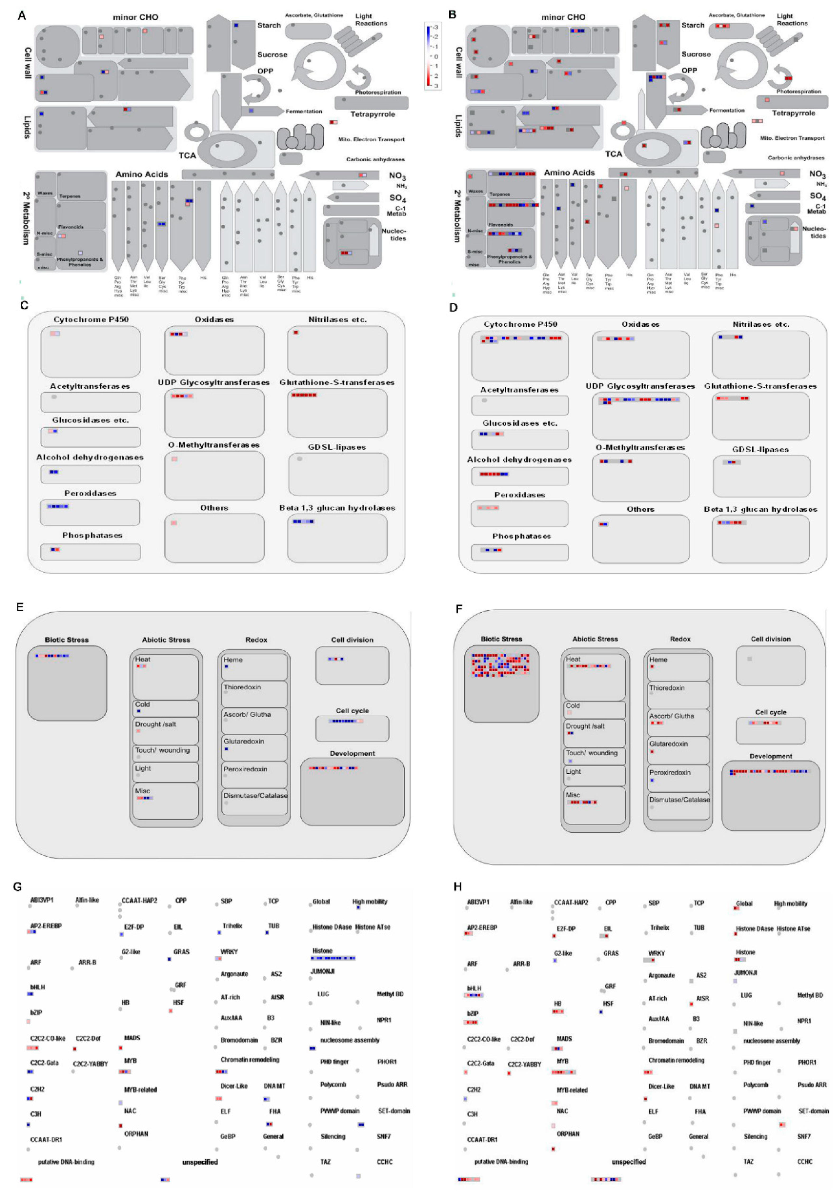 Ijms 20 04358 g006 Ijms 20 04358 g006