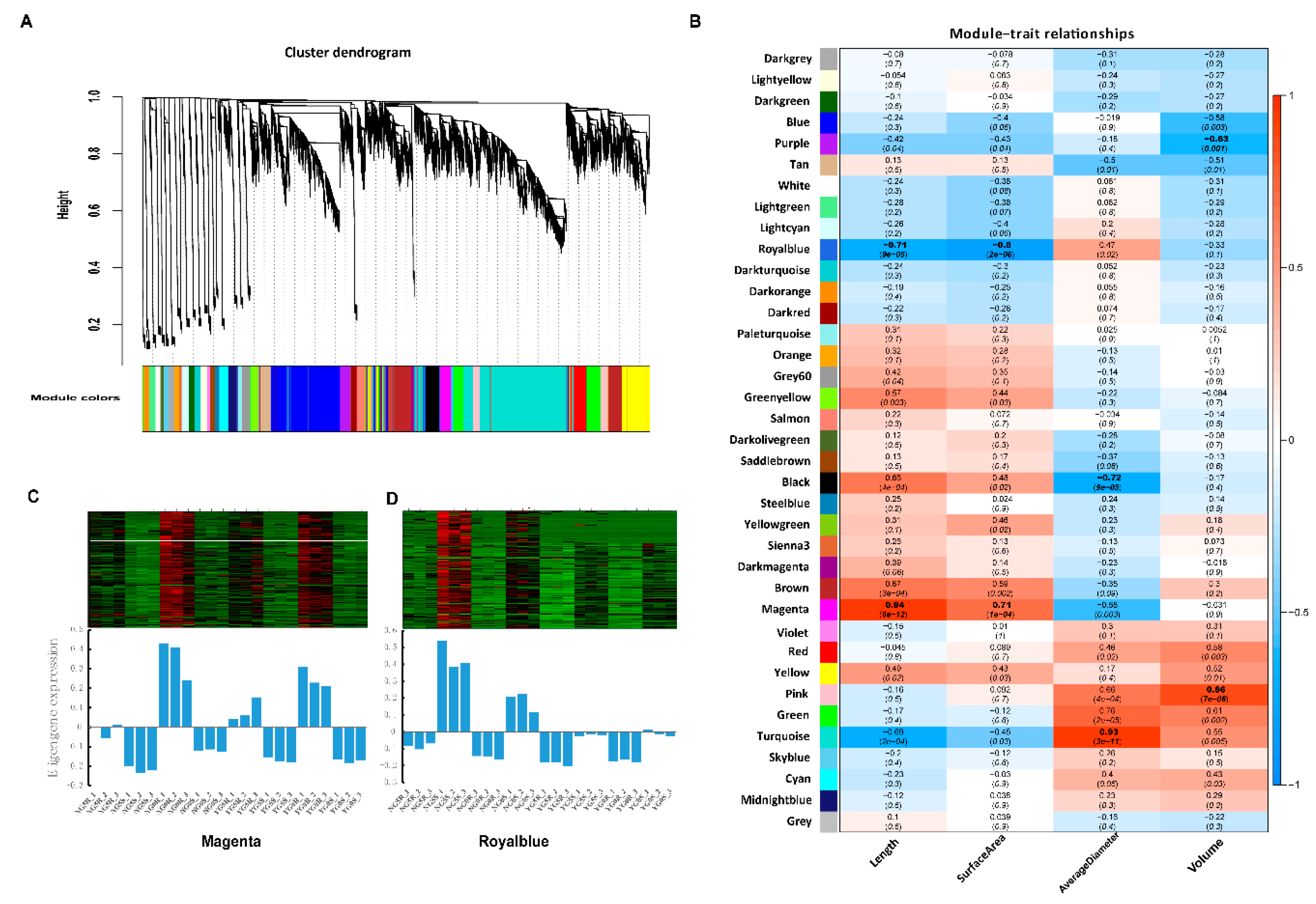 Ijms 20 04358 g007 Ijms 20 04358 g007