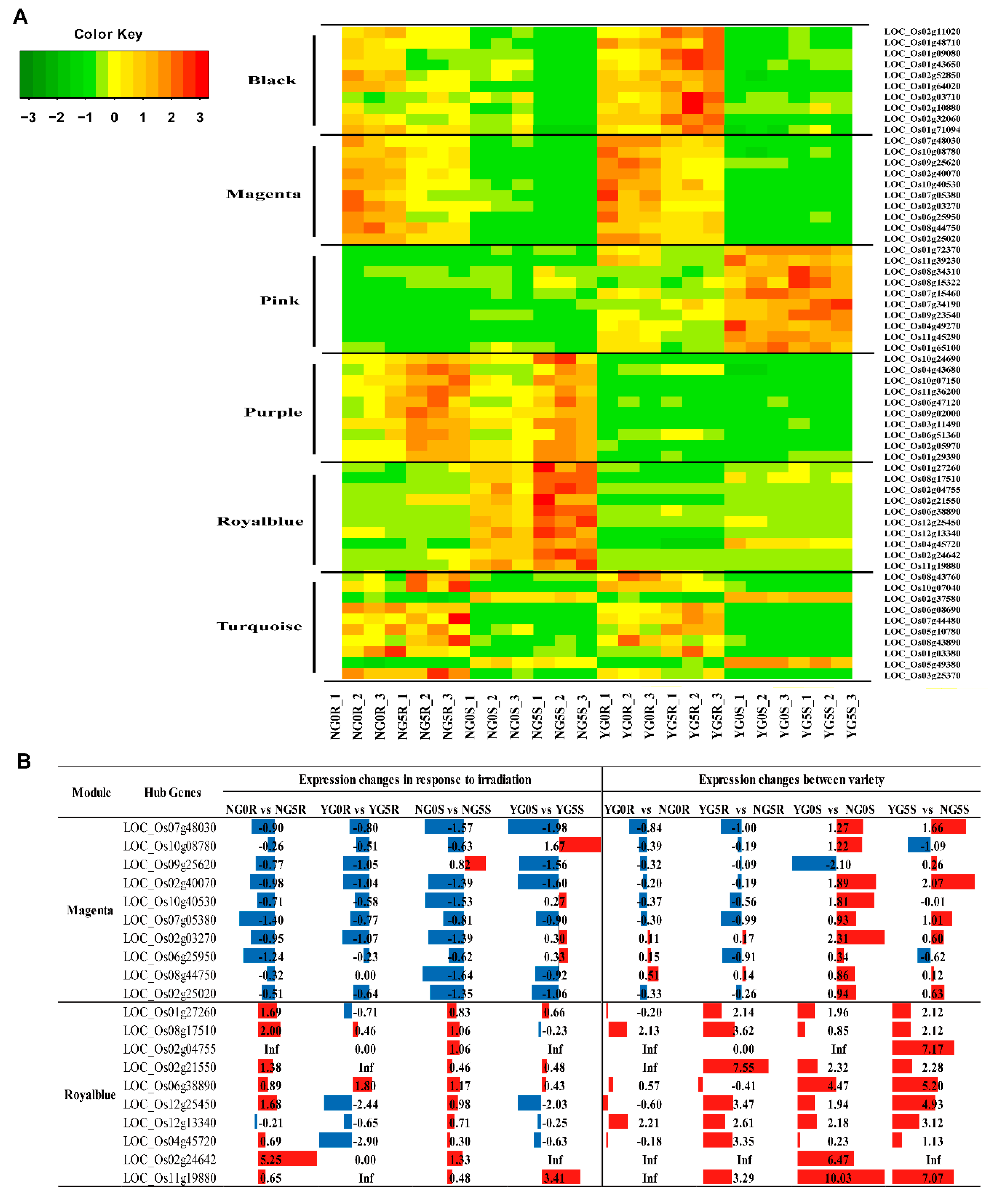 Ijms 20 04358 g009 Ijms 20 04358 g009