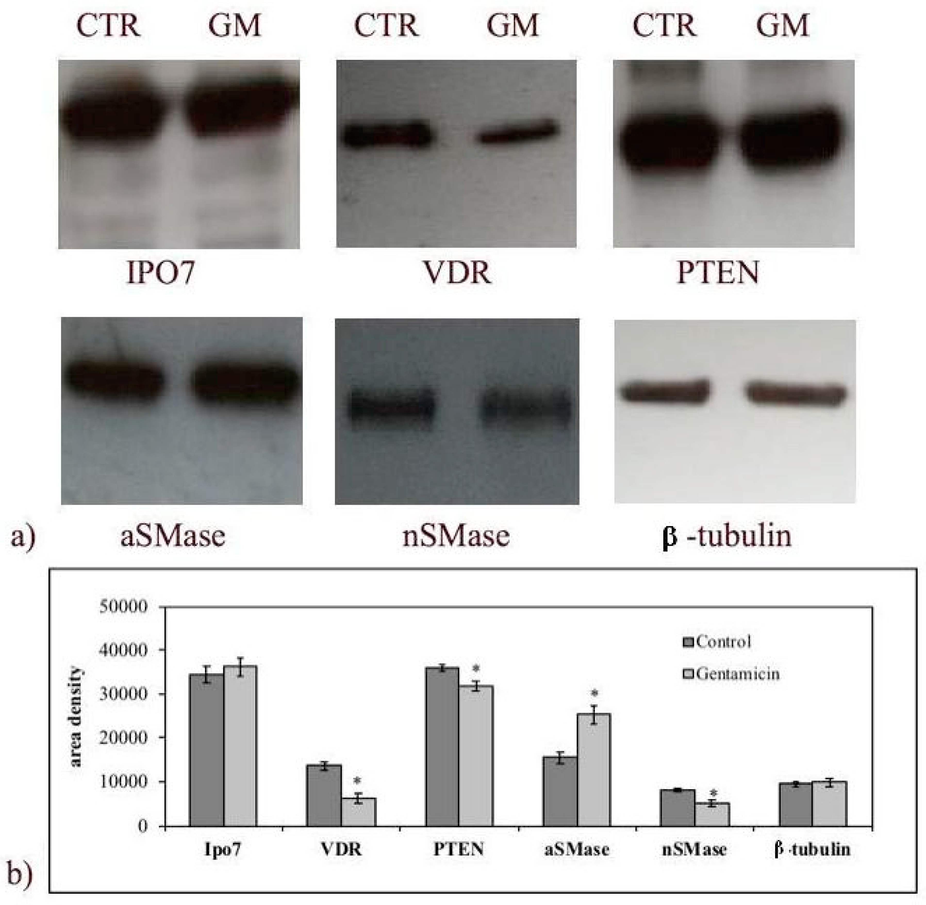Ijms 20 04375 g004