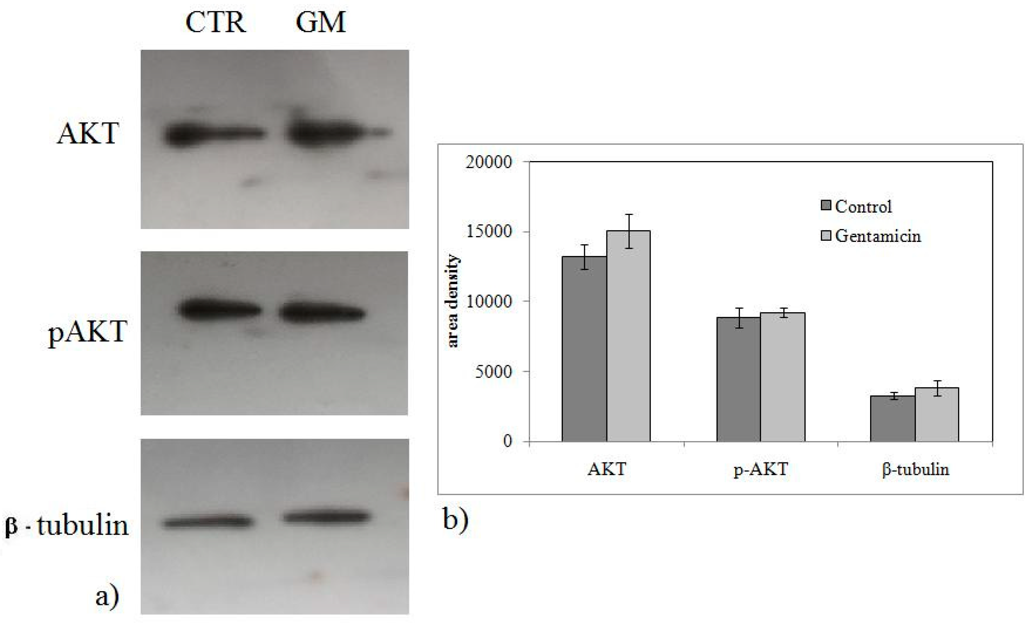 Ijms 20 04375 g005