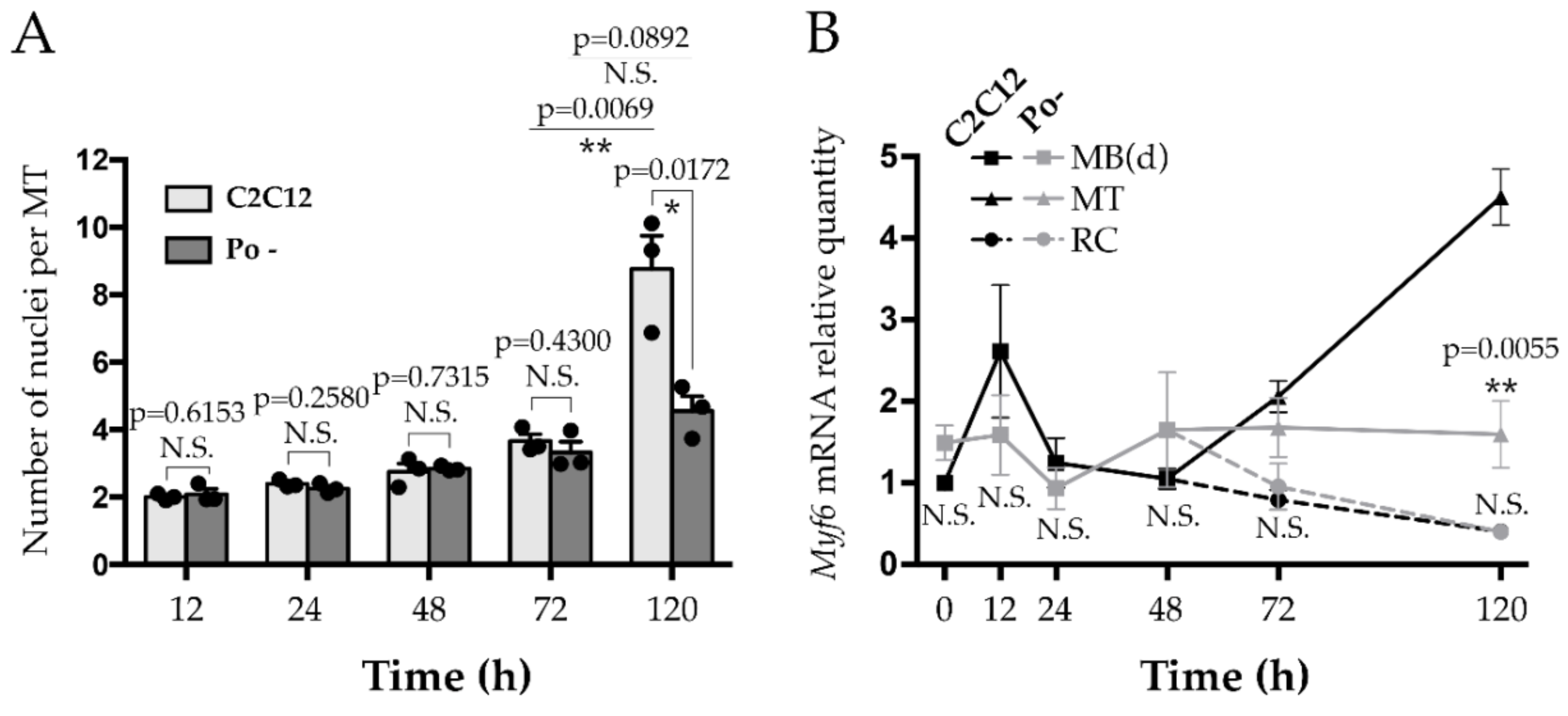 Ijms 20 04396 g001