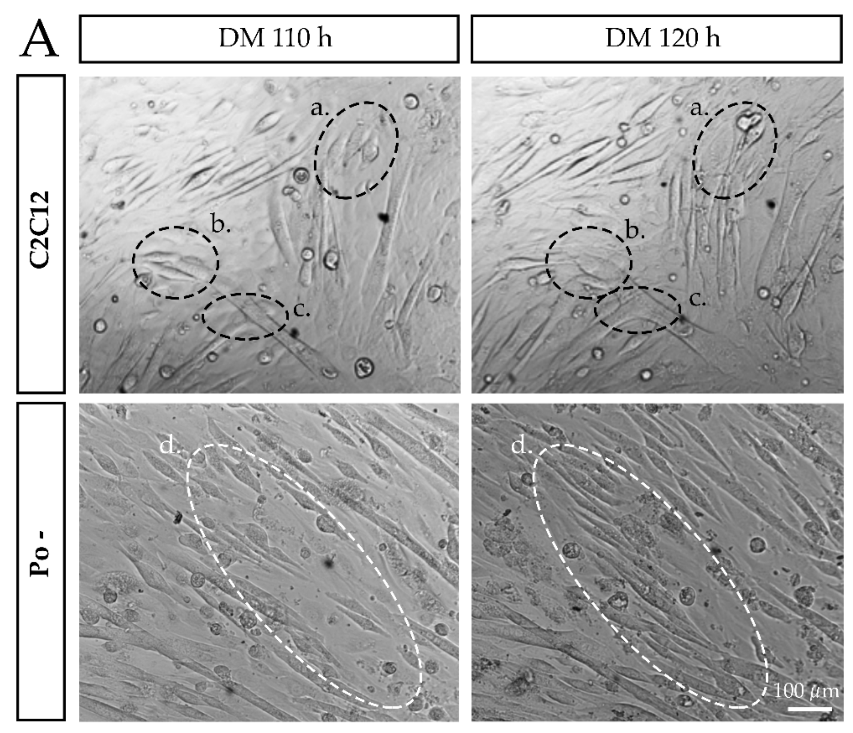 Ijms 20 04396 g002