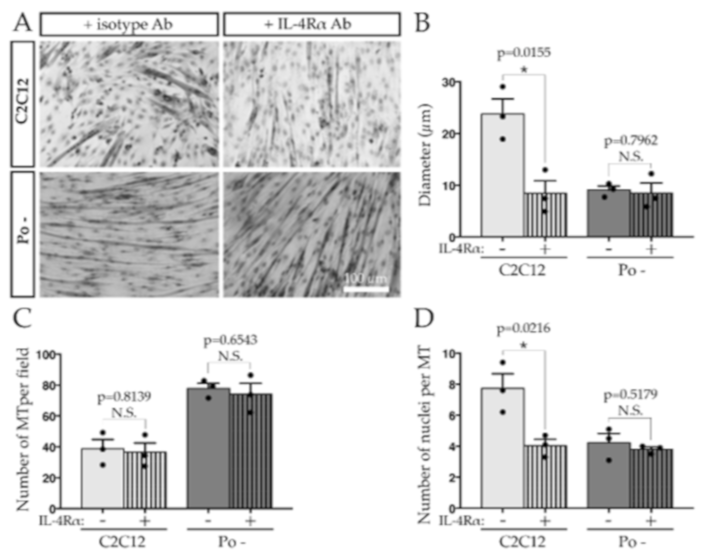 Ijms 20 04396 g006