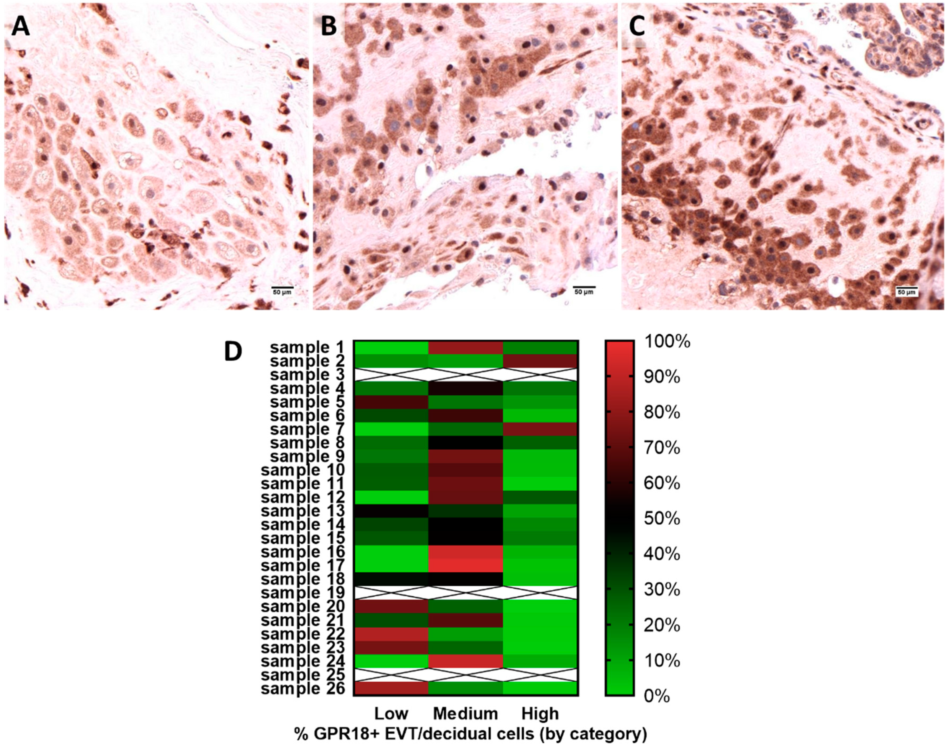 Ijms 20 04402 g001 Ijms 20 04402 g001