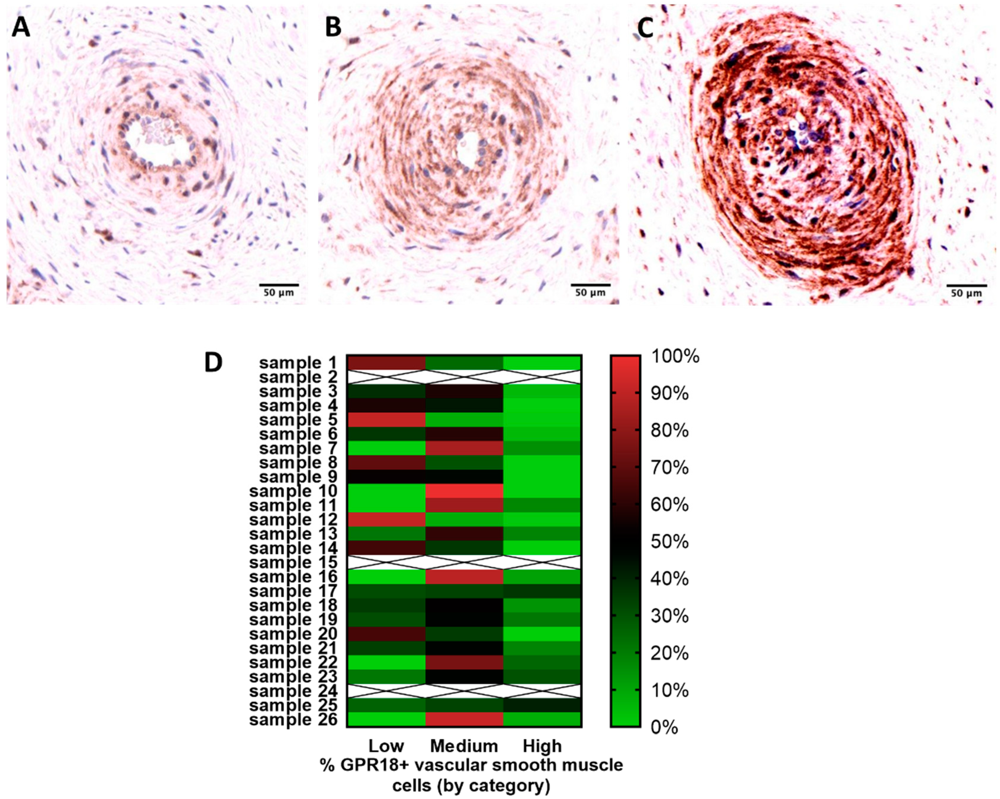 Ijms 20 04402 g002 Ijms 20 04402 g002