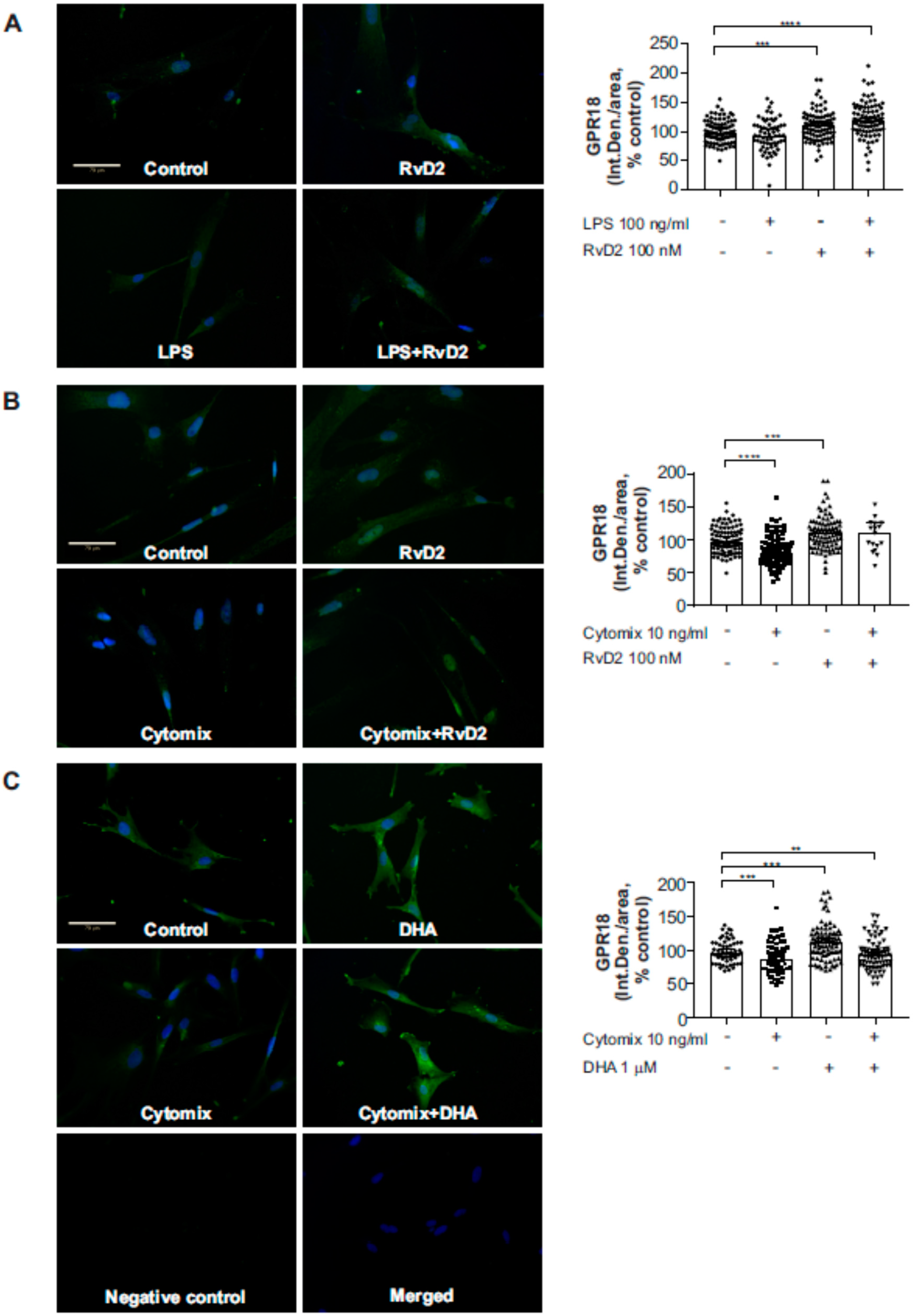 Ijms 20 04402 g007 Ijms 20 04402 g007